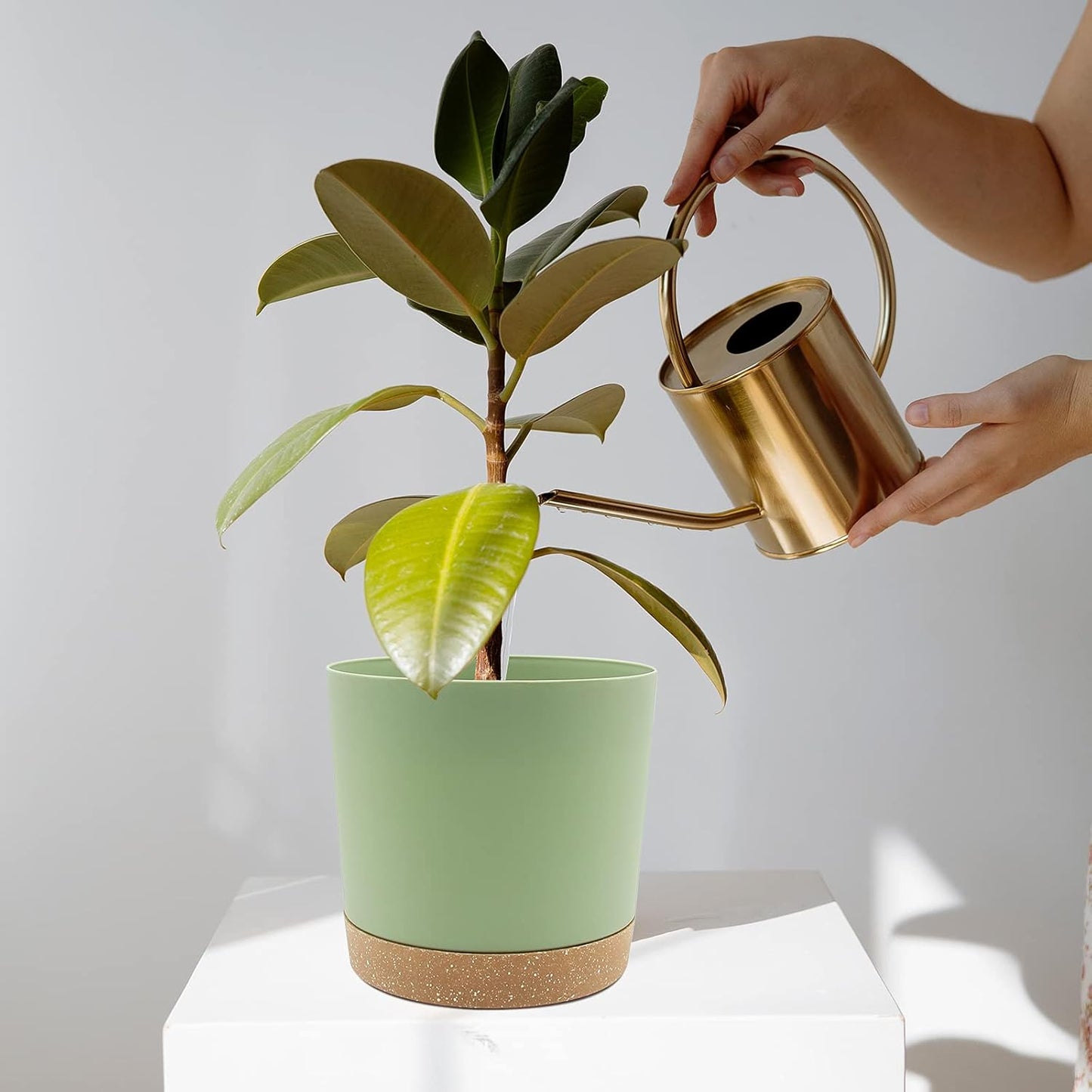 QCQHDU 6.5 inch Plant Pot, 2 Pack Planters for Indoor Plants with Drainage Holes & Saucer, Outdoor Flower Pots Home Garden Modern Decor