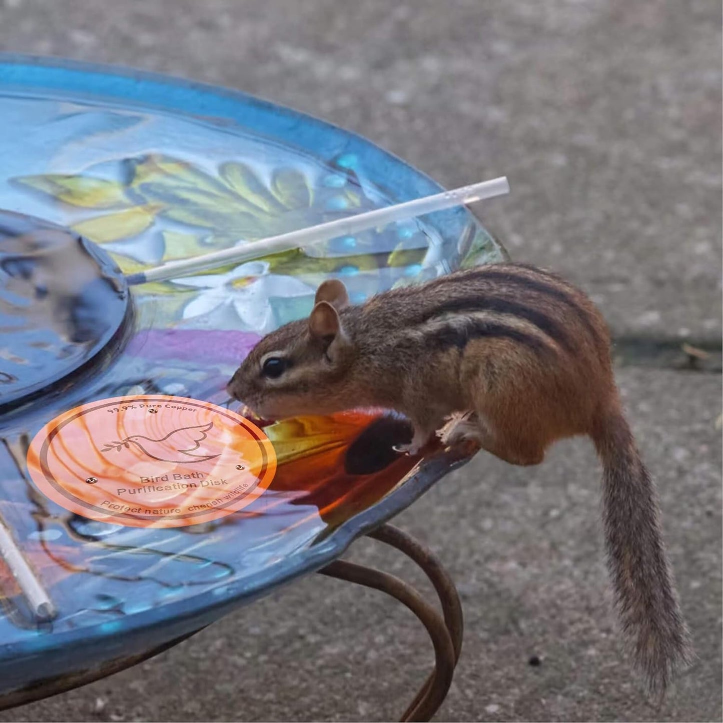 1Pack Bird Bath Copper Purification Disk | 0.6mm Reinforced 99.9% Pure Copper | Universal Fit for Outdoor Birdbaths(Birdbath Copper 1 Pack)