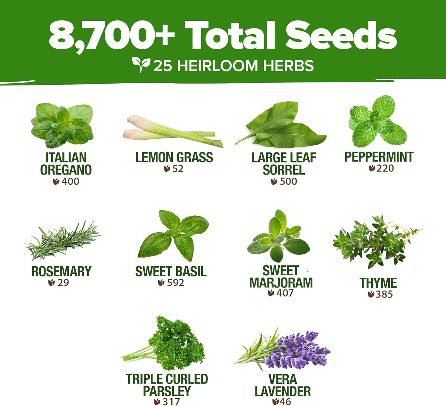 HOME GROWN 25 Herb Seeds for Planting 8,700+ Non-GMO Heirloom Seeds | Extra Large Variety Pack Herb Kit – Indoor Outdoor & Hydroponic | Culinary Seed Set | Grow Your Own Herbs | Gardening Gift