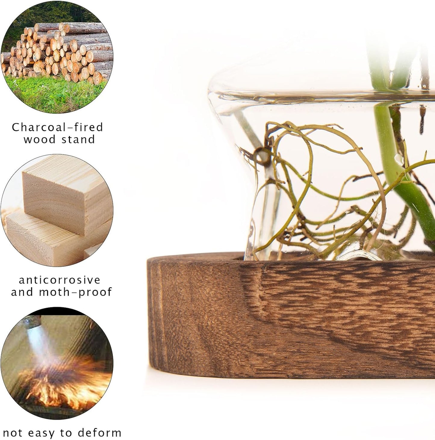 XXXFLOWER Plant Propagation Station with Wooden Stand,Air Plant Terrarium Starter Kits Star Vases for Flowers Plant Cutting Rooting Pots Indoor Hydroponic Glass Planter for Plant Lovers,3 Jars