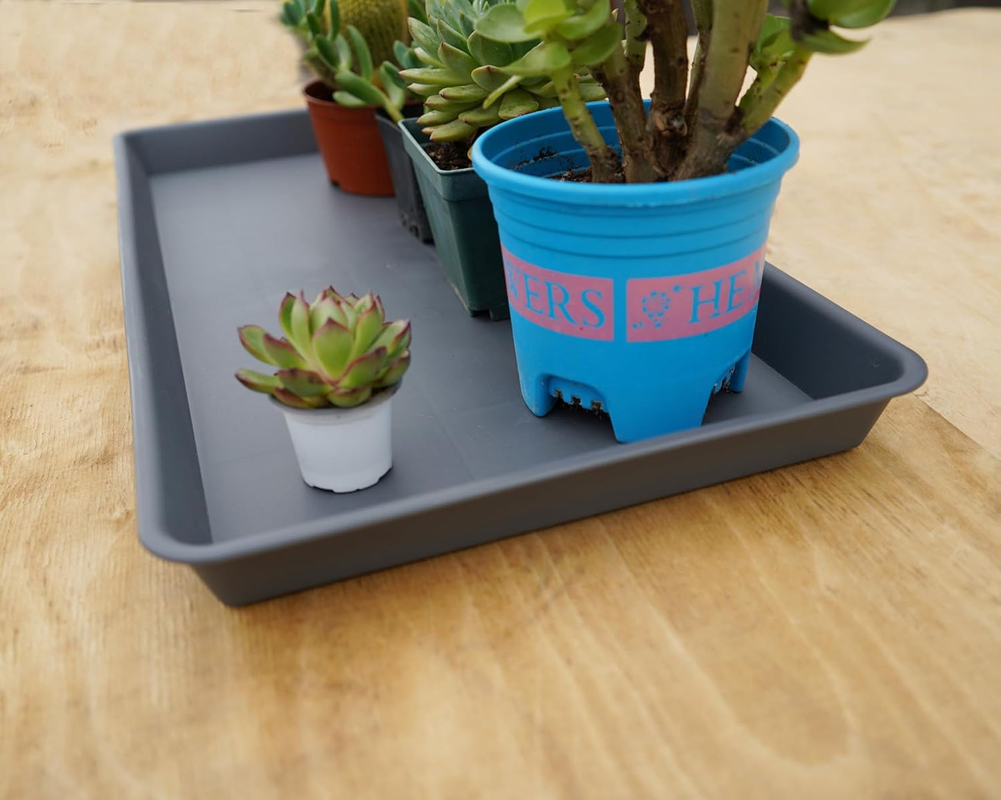 4 Pack Plant Saucer Tray Rectangular, Plant Saucers for Indoors, Heavy Sturdy Plastic Plant Drainage Trays, Plant Drip Trays for Pots, Seed Starter Growing Tray (11 x 9 inch, Gray)