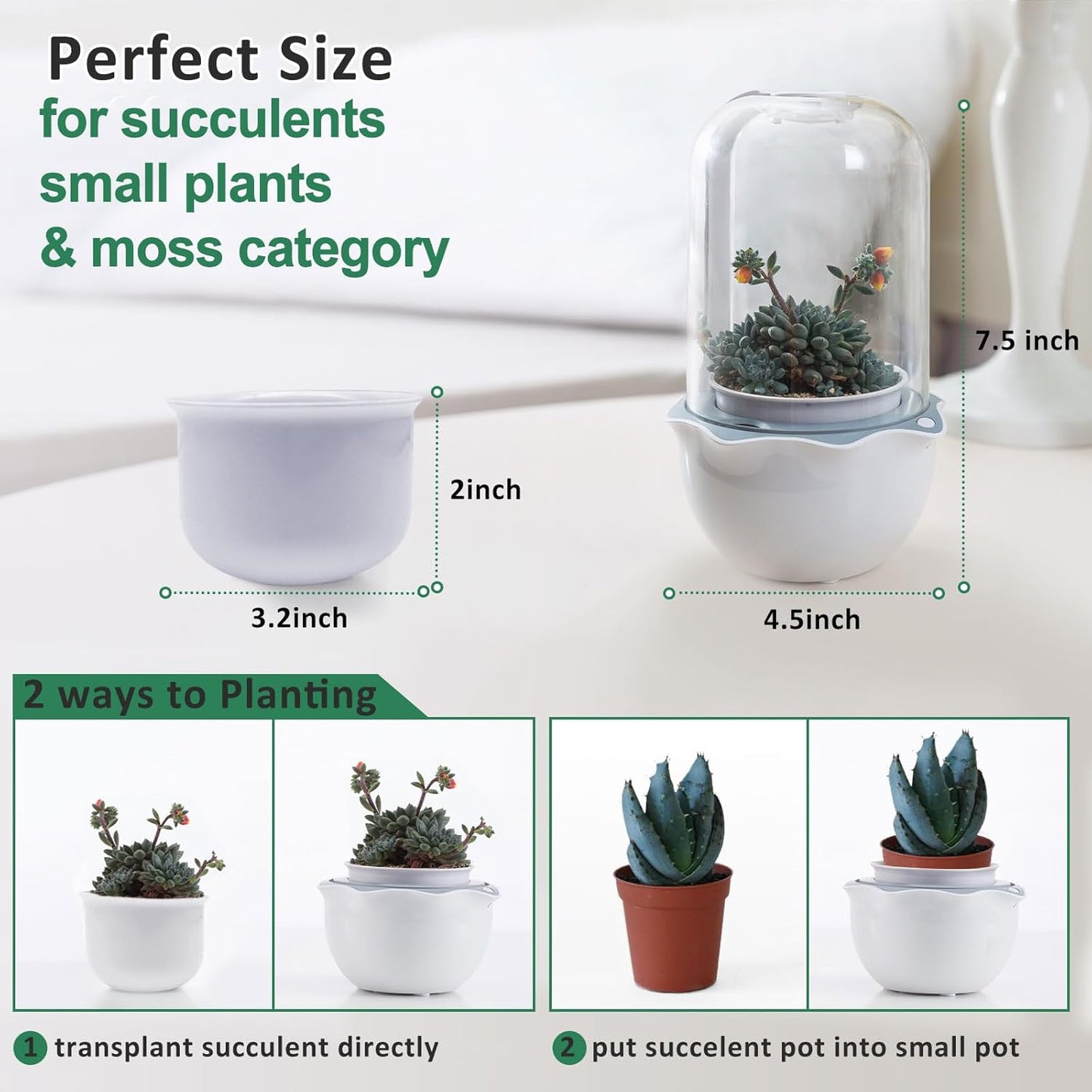 Smart Venus Fly Trap Terrarium Pot with Timer&Fan,Succulent Planter with Grow Light,Indoor Plant Terrarium Kit for Carnivorous Plants,Sundew Moss,Cactus, for Dad (No Plant)