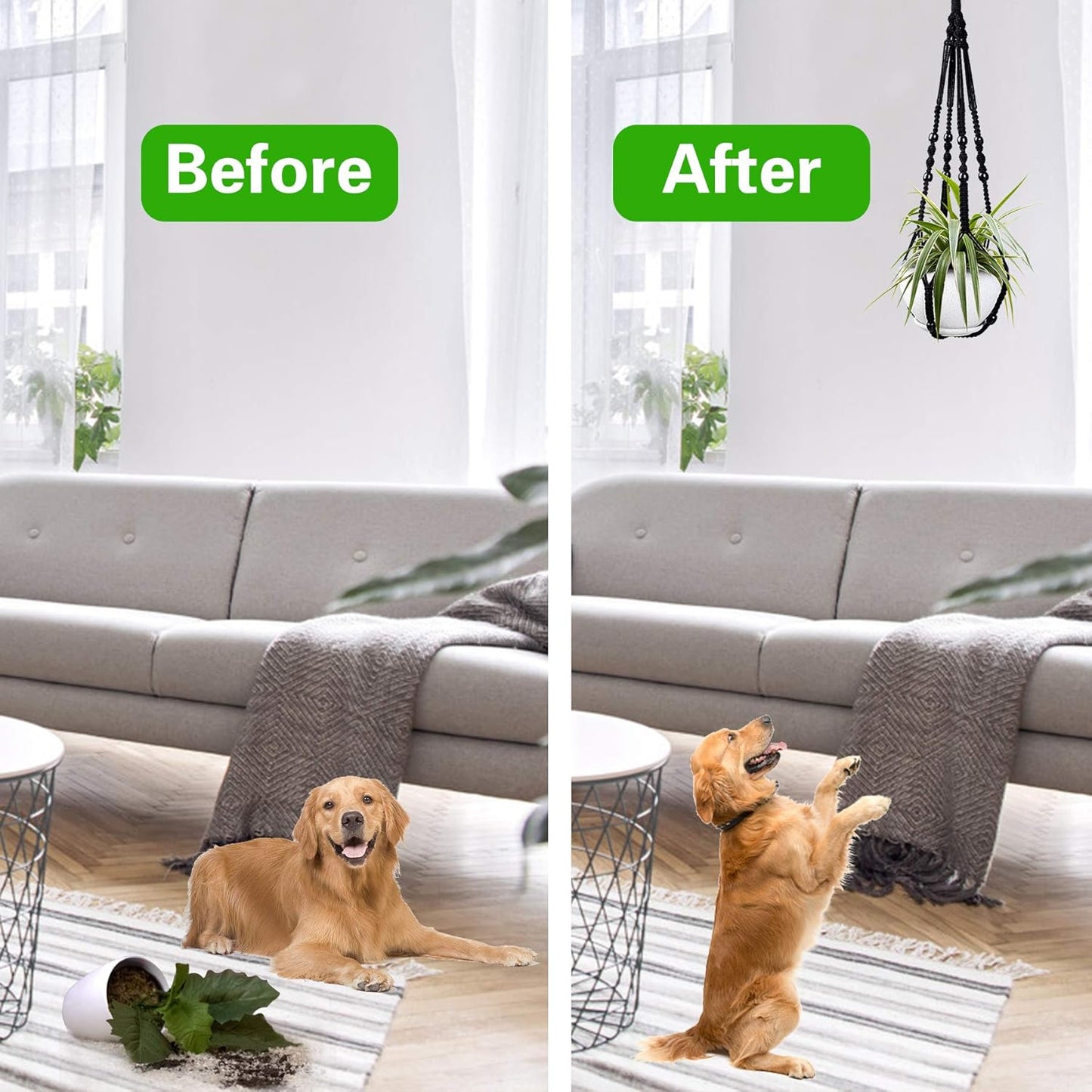 Augshy Macrame Hanging Planter, 2 Pack Hanging Planters for Indoor Plants Indoor Outdoor Decor Handmade Hanging Plant Holder(35 Inch)