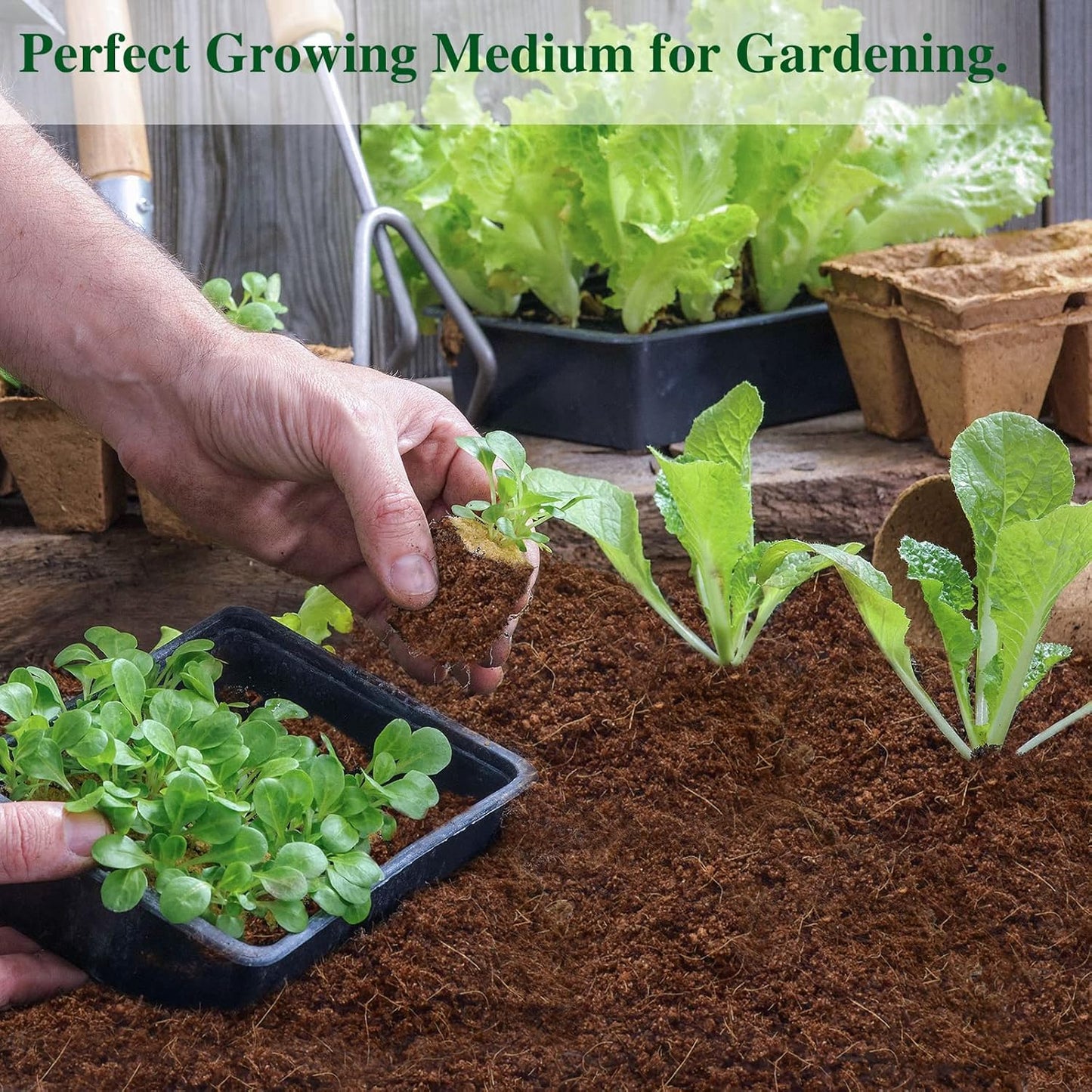 ZeeDix 10 Pack Premium Coco Coir Brick, Organic Compressed Coconut Coir Bricks Seed Starter Potting Soil for Plants, Coconut Fiber Substrate with Low EC & pH Balance for Gardening Flower Herbs