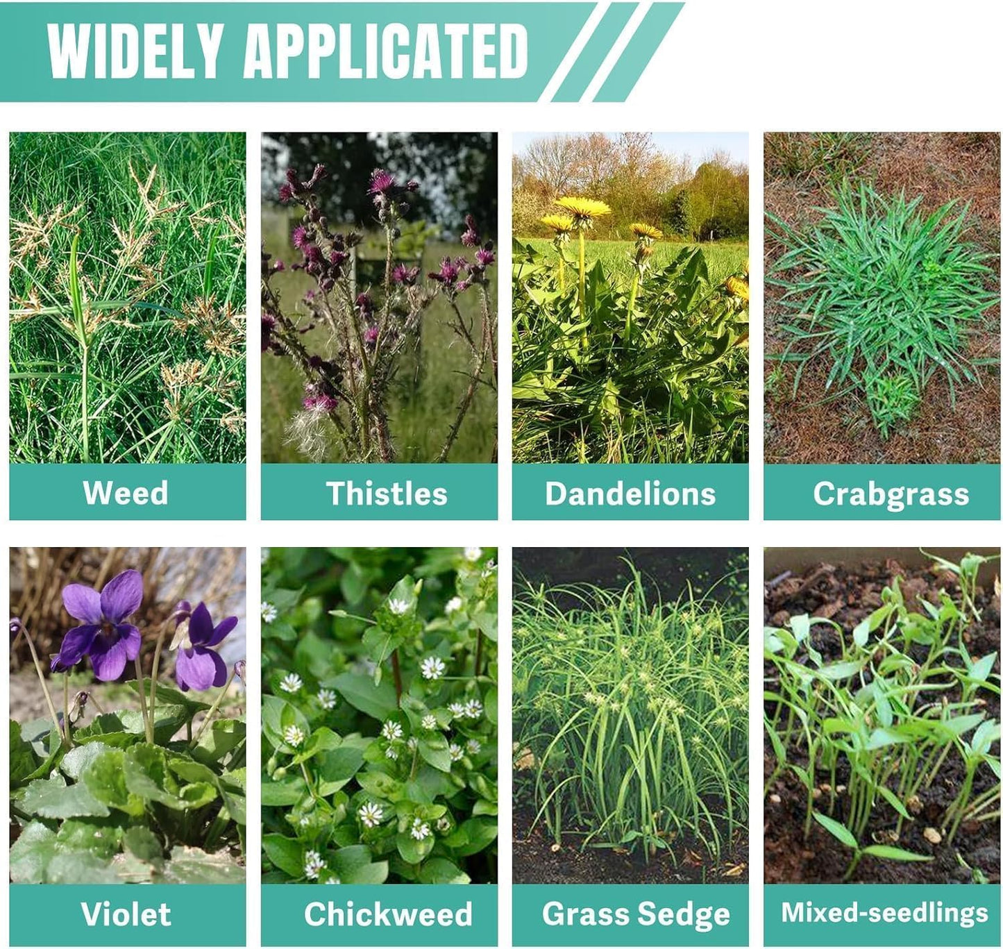 Weeder Puller Tool, Handle (39"), Designed for The Elderly to Weed Quickly Without Bending Over, Lightweight Standing Weeder, Suitable for Removing Weeds,Detachable and Assemblable for Convenient