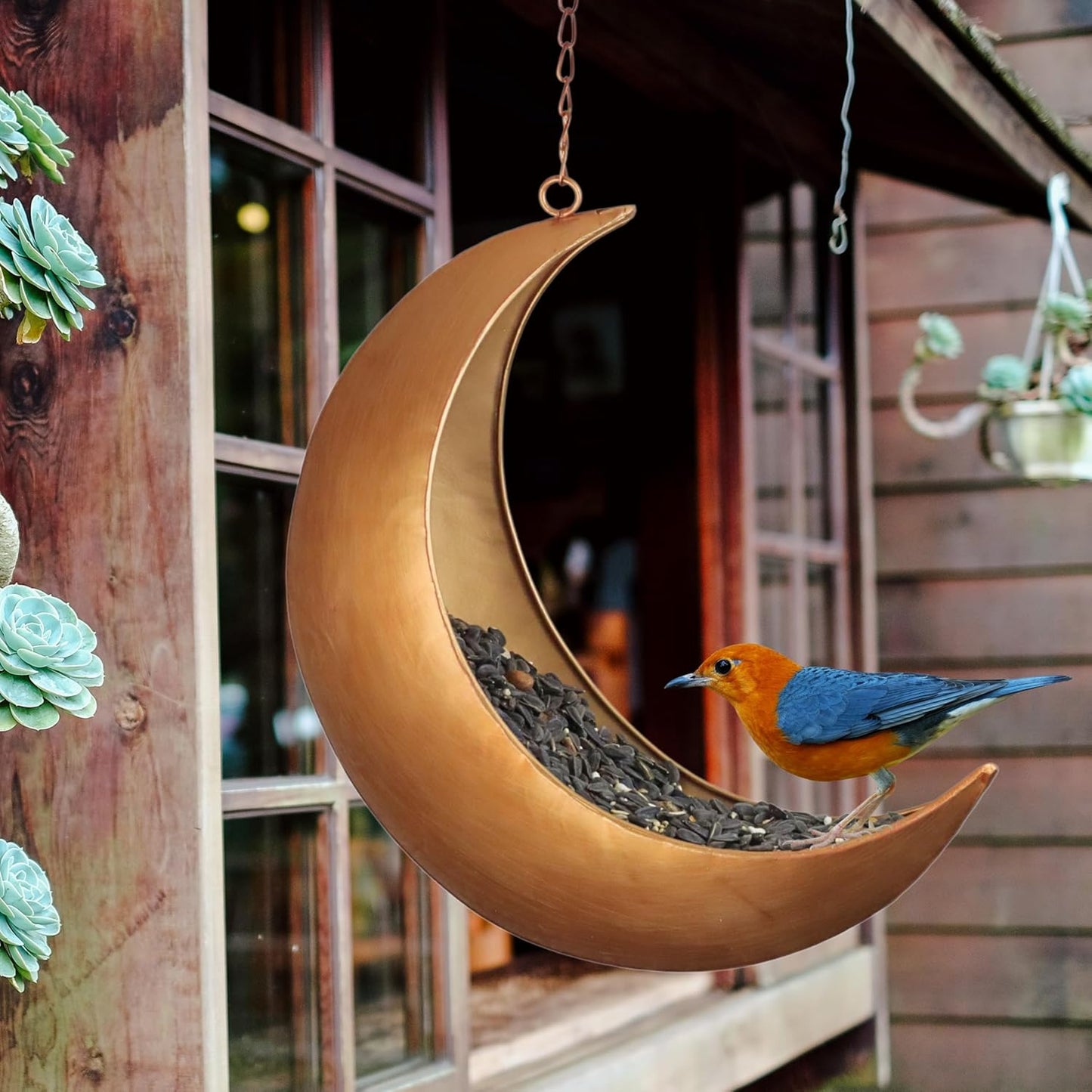 Hanging Moon Bird Feeder – Unique Metal Bird Feeders for Outdoors, Antique Gold, Rust-Resistant, Drain Holes – Wild Bird Feeder for Bluebirds, Cardinals, Finches, and Backyard Birdwatching