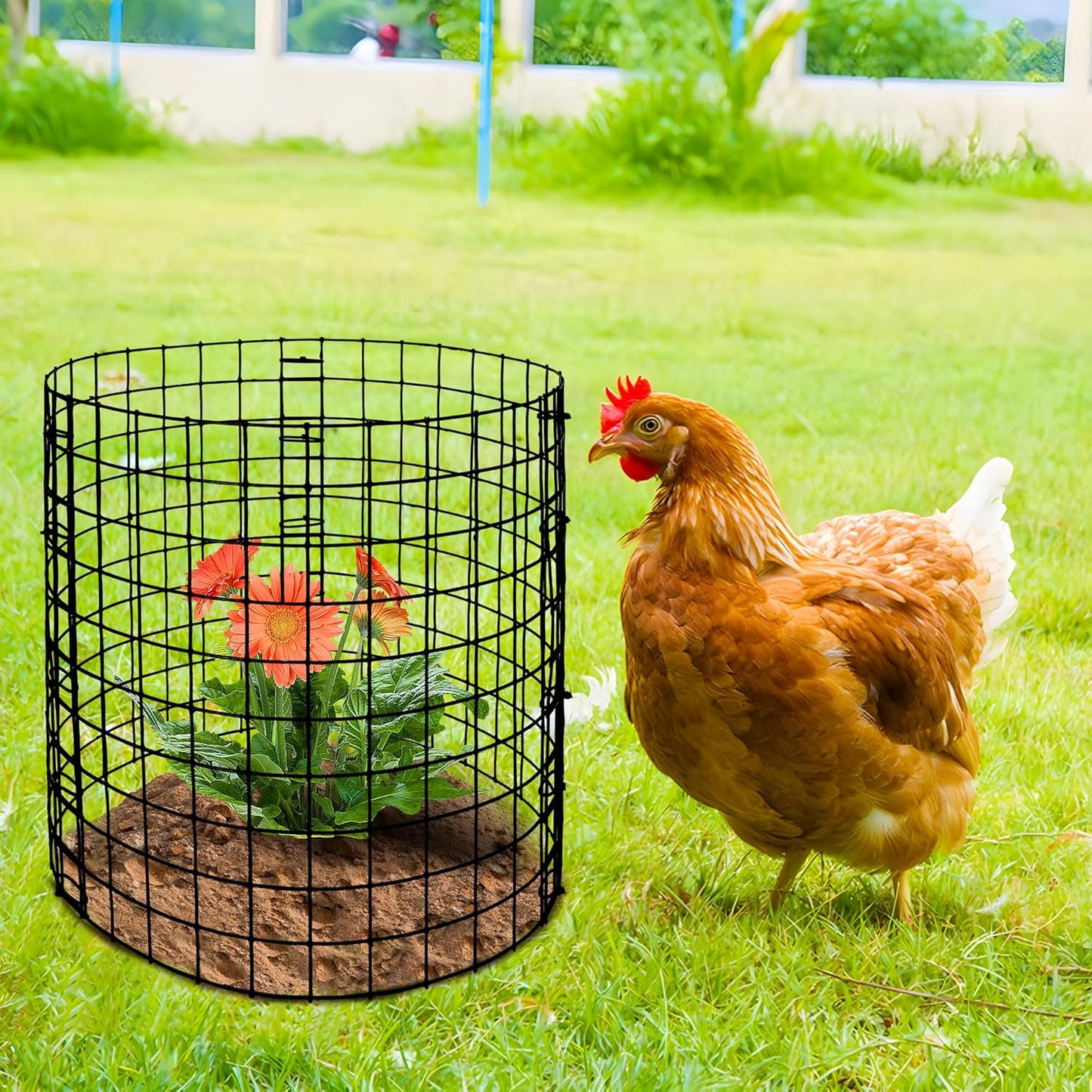 Adnee 10 Packs Wire Plant Protector from Animals - 12" H X 12" D Metal Mesh Plant Cage Covers - Sturdy Garden Bunny Barricades Chicken Wire Cloche for Plants Shrubs Vegetables Flowers