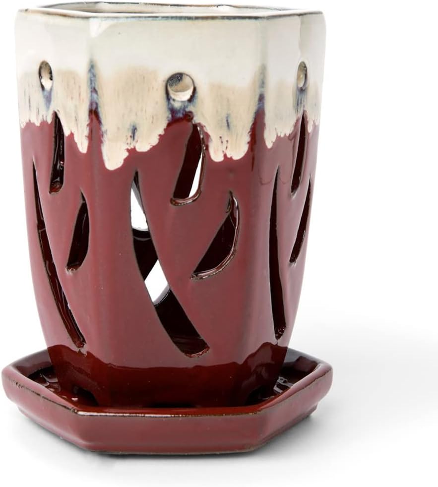 rePotme 4 x 6 inch Ceramic Orchid Pot (Cream Over Garnet) - Hexagon Orchid Pot with Holes