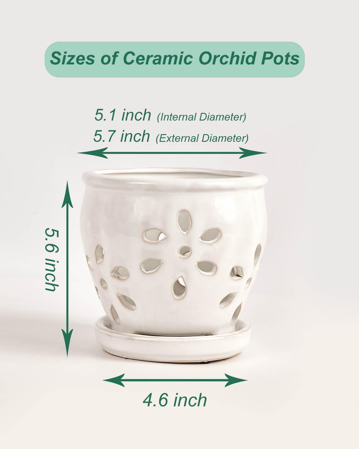 vensovo 5 Inch Ceramic Orchid Pots with Holes and Saucers - 1 Pcs Small Succulent Pot for Repotting, Garden Flowerpots for Plants Indoor and Outdoor Promotes Air Circulation, White