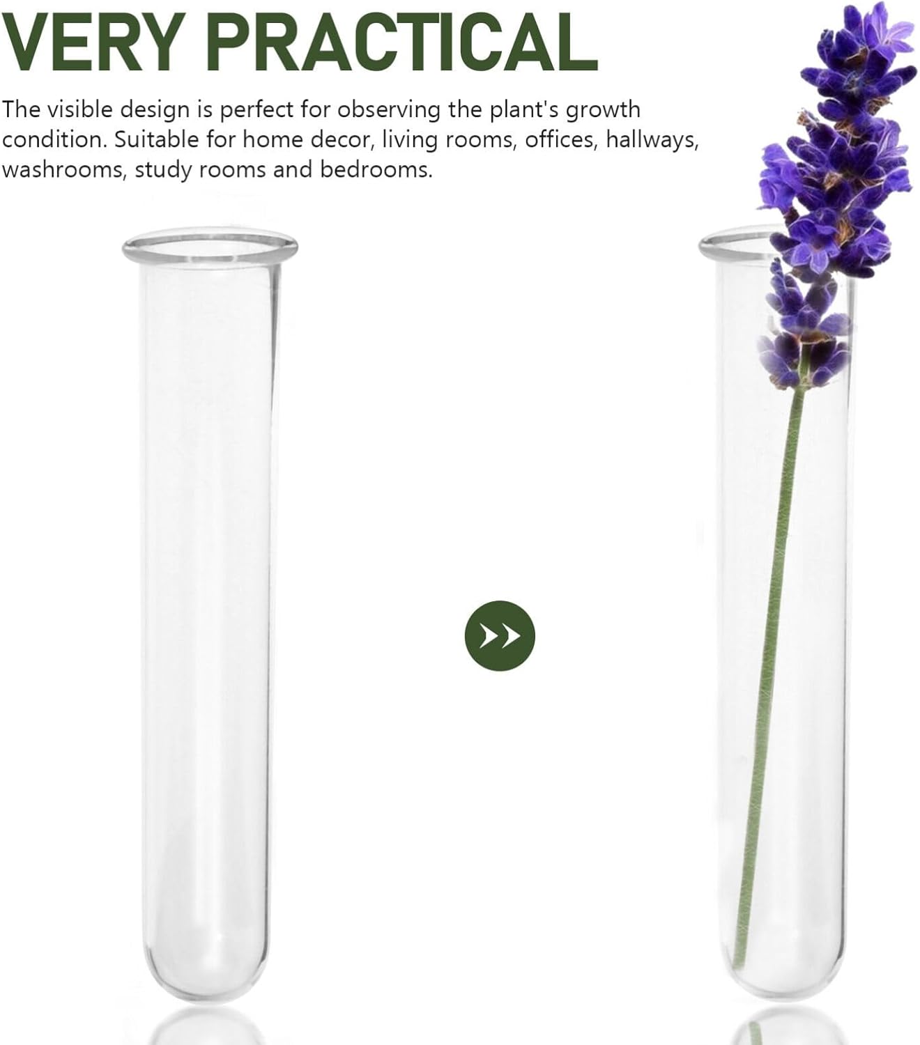 Alipis 4pcs Glass Propagation Stations Accessories Glass Test Tubes Tiered Planters Wall Terrarium for Home Office Plant Hanger Flower Vases Wall Decor Hydroponic Cuttings