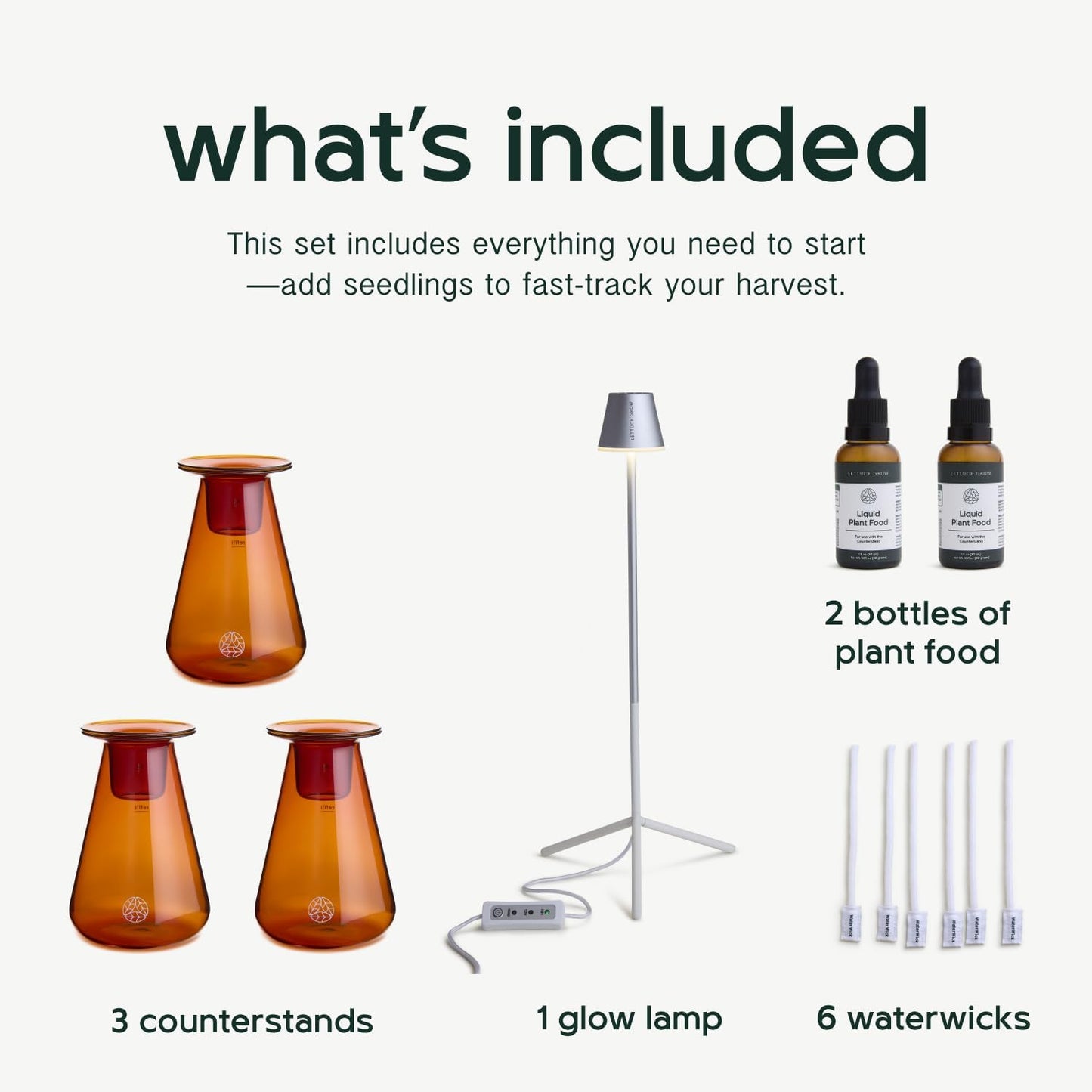 Counterstand Set – Vase Plant for Indoor Edible Garden Kit for Herbs & Lettuce – Small-Space Hydroponic System – Home Decor & Gifting – with Live Plants