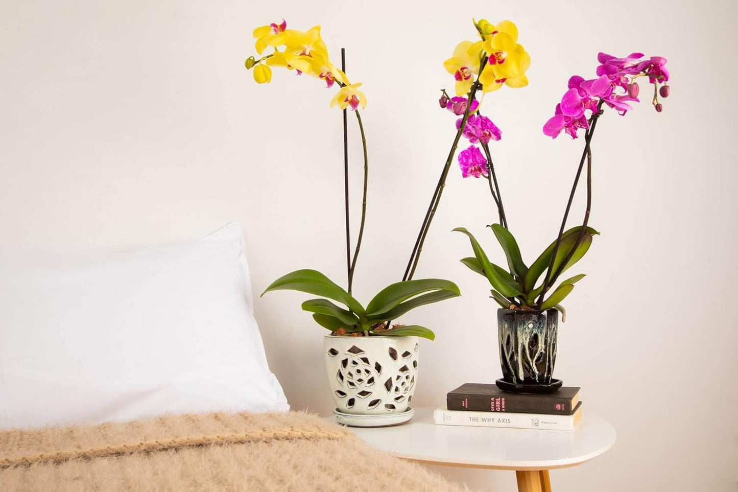 rePotme 5 inch Floral Cutout Ceramic Orchid Pot (Honey Cream Over Coffee)