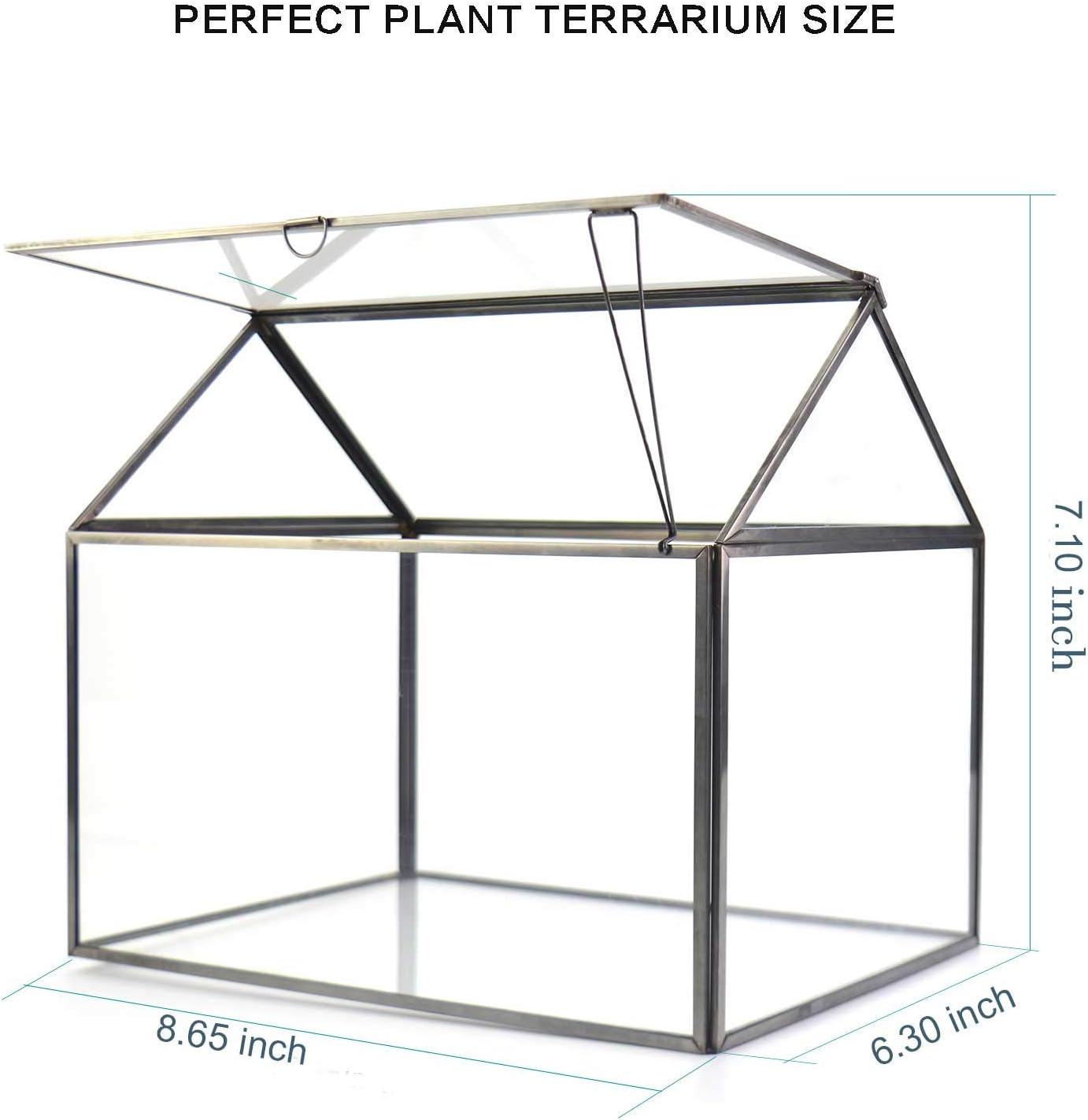 Black 1 Large Glass Plant Terrarium Kit with Lip Greenhouse for Succulents