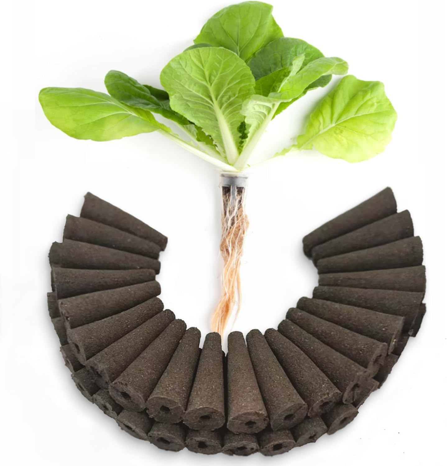 60 Pack Hydroponic Grow Sponges Seed Pods Replacement, Rapid Rooting Nursery Sponges Compatible with Aerogarden & Most Hydroponic System