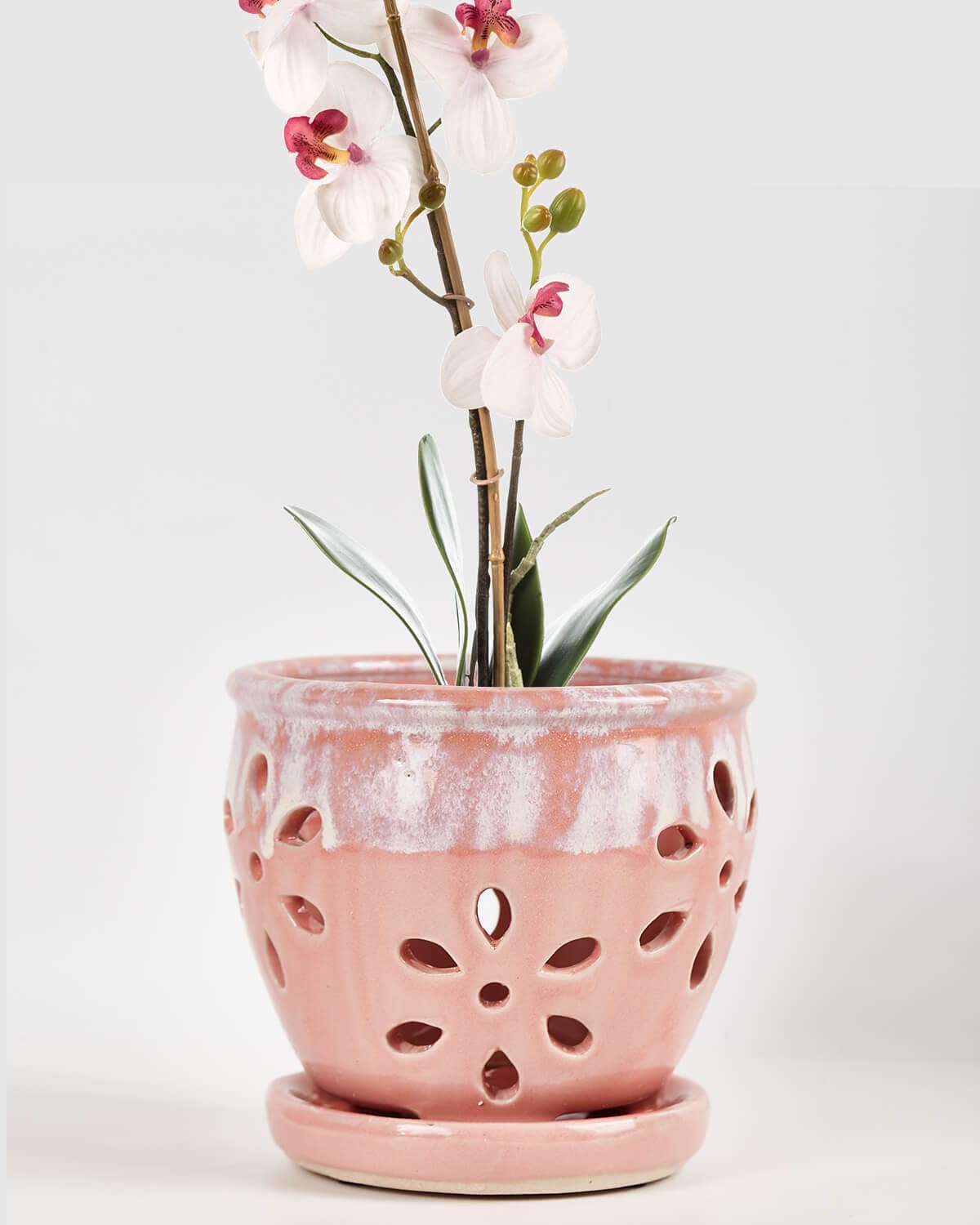 vensovo 5 Inch Ceramic Orchid Pots with Holes and Saucers - 1 Pcs Small Succulent Pot for Repotting, Garden Flowerpots for Plants Indoor and Outdoor Promotes Air Circulation, Pink