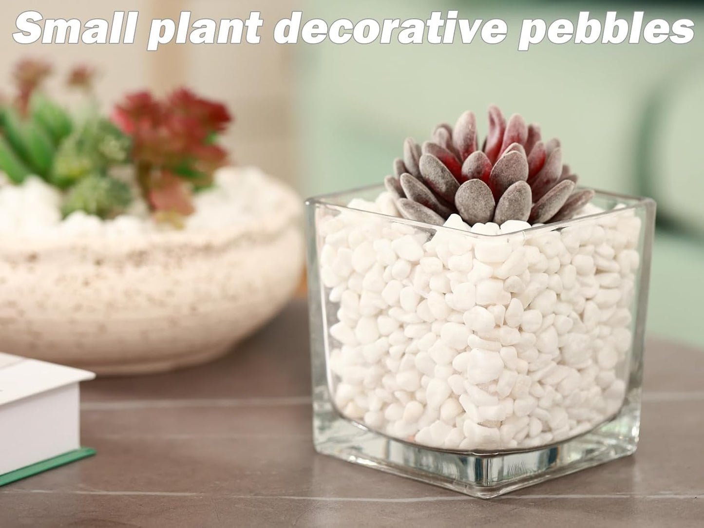 11 Lbs Natural River Rocks for Plants 0.3” Small Decorative Pebbles for Plant Pot Landscaping Garden Stones White Aquarium Gravel, Mini Vase Filler, Terrarium Rocks in Bulk, Home Decor