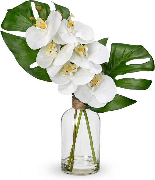 Artificial Monstera Plant and Fake Orchid in Glass Vase, 13.8" Real Touch Fake Plant Tropical Leaves Orchids Artificial Flowers with Faux Water for Home Bathroom Kitchen Office Centerpiece Room Décor