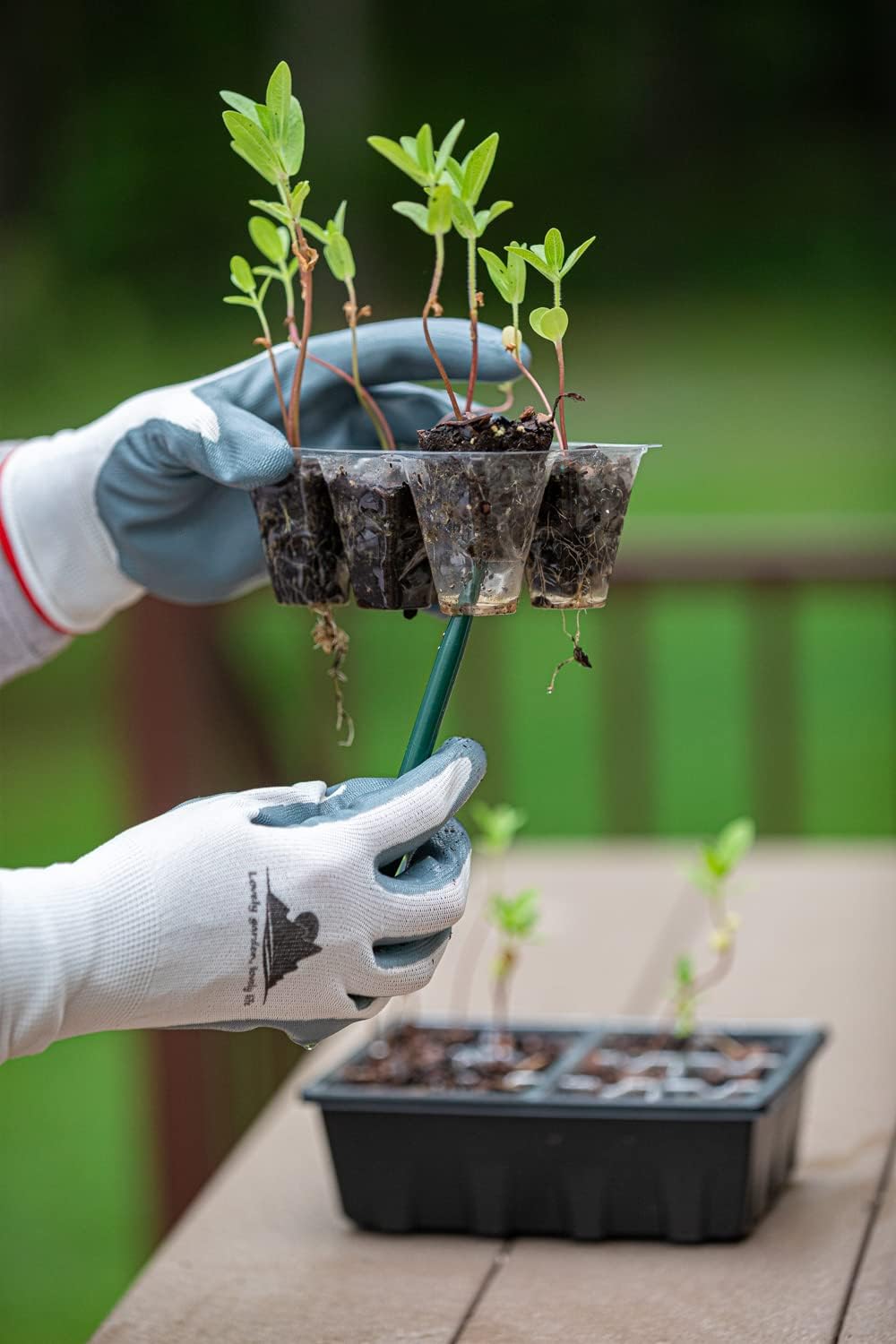 Gardzen 10 Pack Push-Up Seed Starting Tray, Pop Up Plant Germination Trays, Seed Starter Kit with Adjustable Humidity Vented Dome, 6.6" x 4.5", Total 120-Cell, Clear