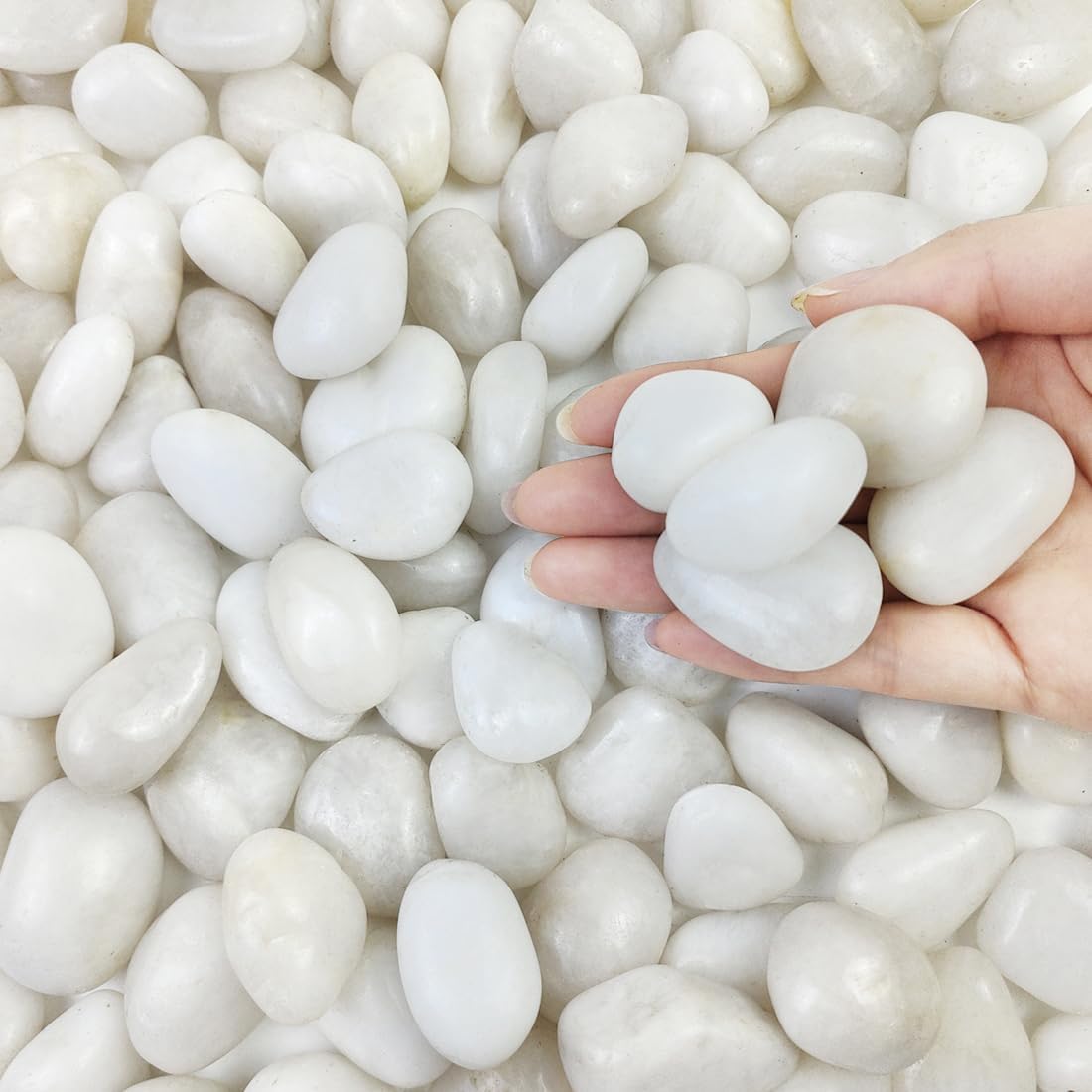 10 lbs White Pebbles for Indoor Plants, 0.8-1.2 Inch Small White River Rocks Stones for Planters, Vases, Fish Tank, Garden, Landscaping, Top Dressing and Bottem Drainage