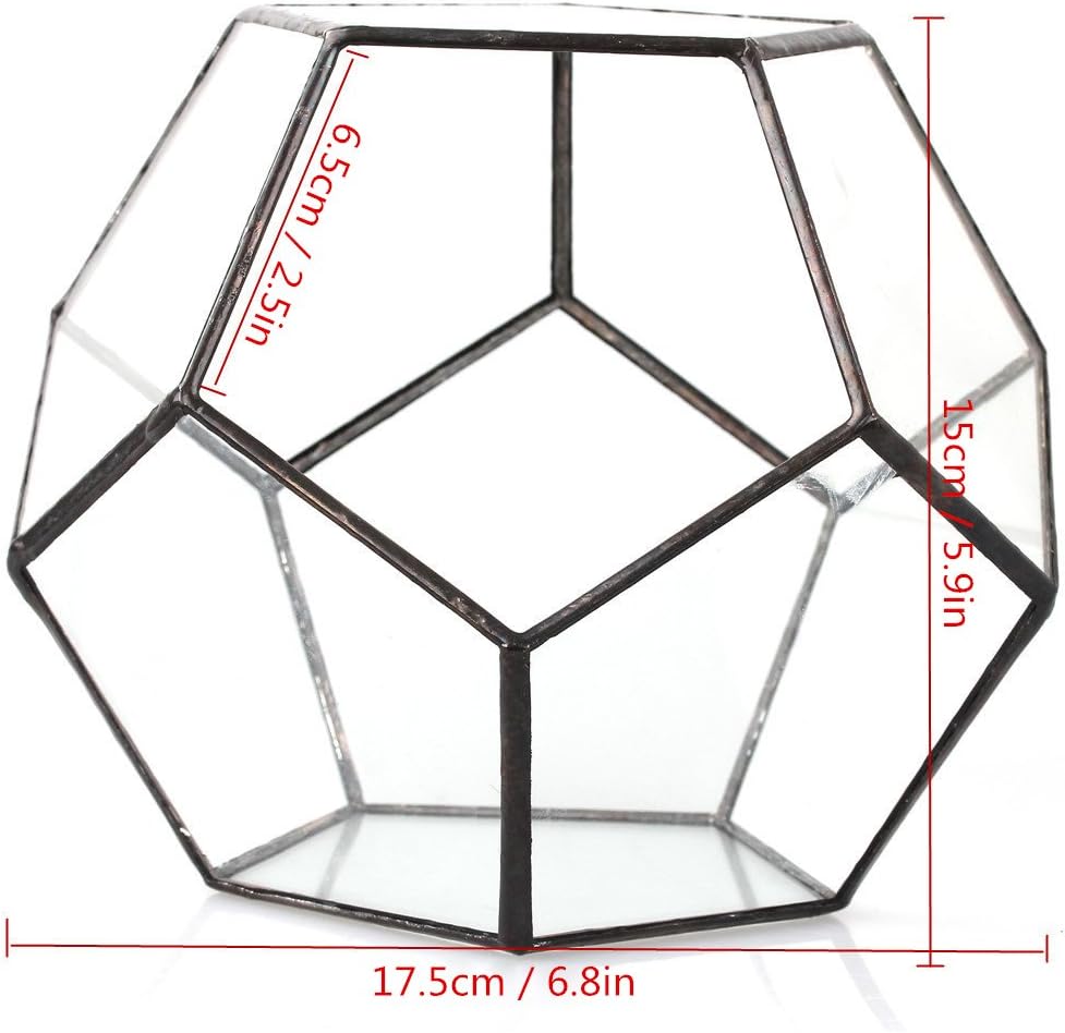 NCYP Small Open Terrarium Planter - 6.89" x 6.89" x 5.9" Pentagon Geometric Glass Container Pot for Succulents, Air Plants - Home Garden Tabletop Miniature Decor, Black (No Plants)