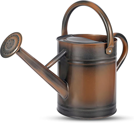 1 Gallon Watering Can for Plants, Watering Cans for Indoor&Outdoor Gardening, Galvanized Steel Watering Pot with Removable Spout, Metal Water Can with Ergonomic Movable Handle(Copper)