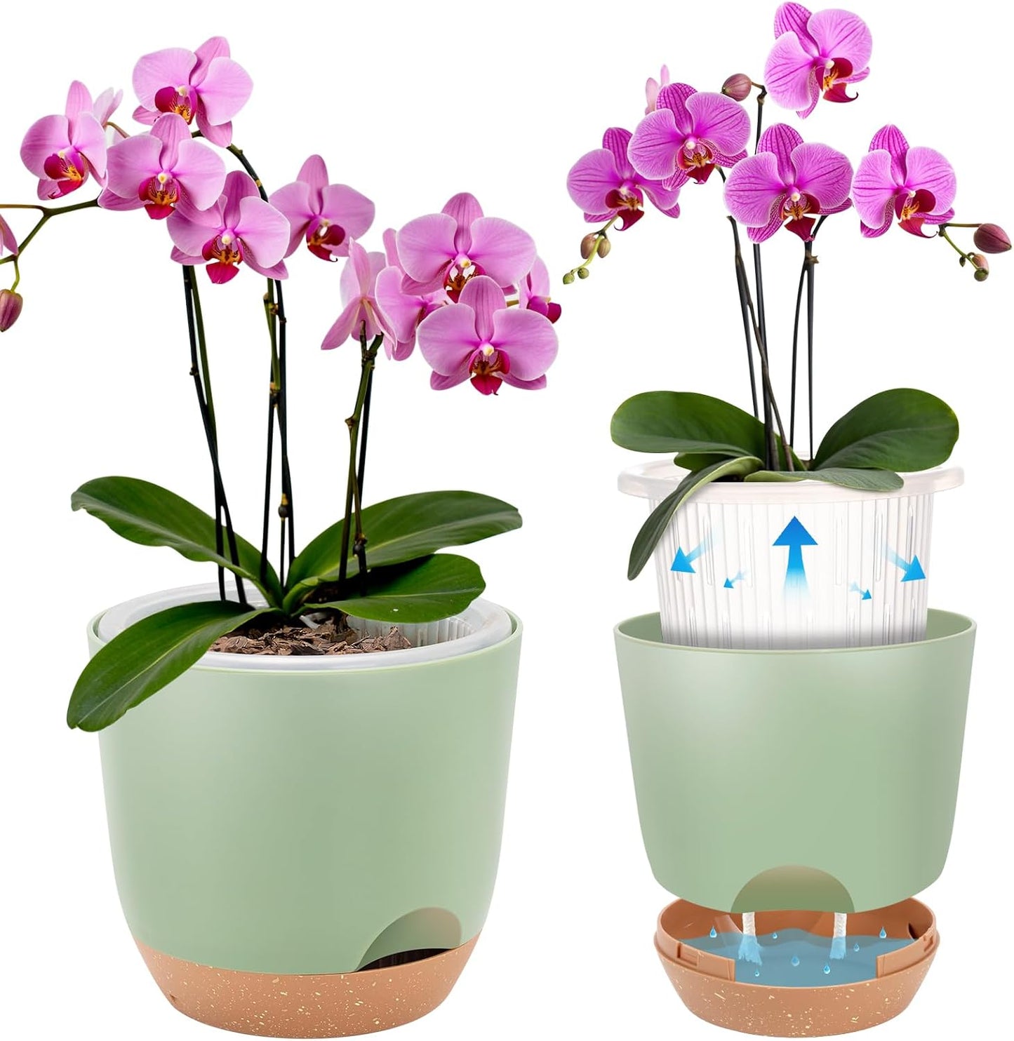 7.2 Inch Self Watering Orchid Pots for Indoor Plants,Macetas para Orqudeas,Flower Pots for Indoor Plants with Holes(Green)