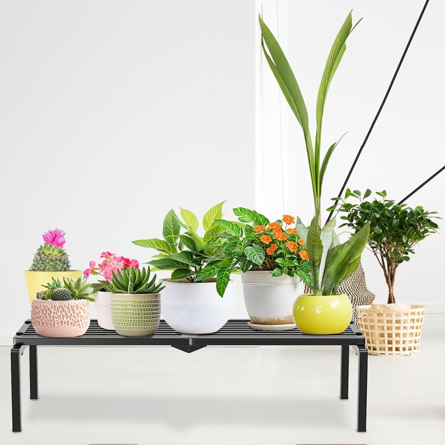 1 Tier Metal Plant Stand Indoor Outdoor, Potted Multiple Flower Pot Holder Rack Plant Shelf, Heavy Duty Planter Display Shelving for Patio Balcony Garden Living Room Decorative (Black)