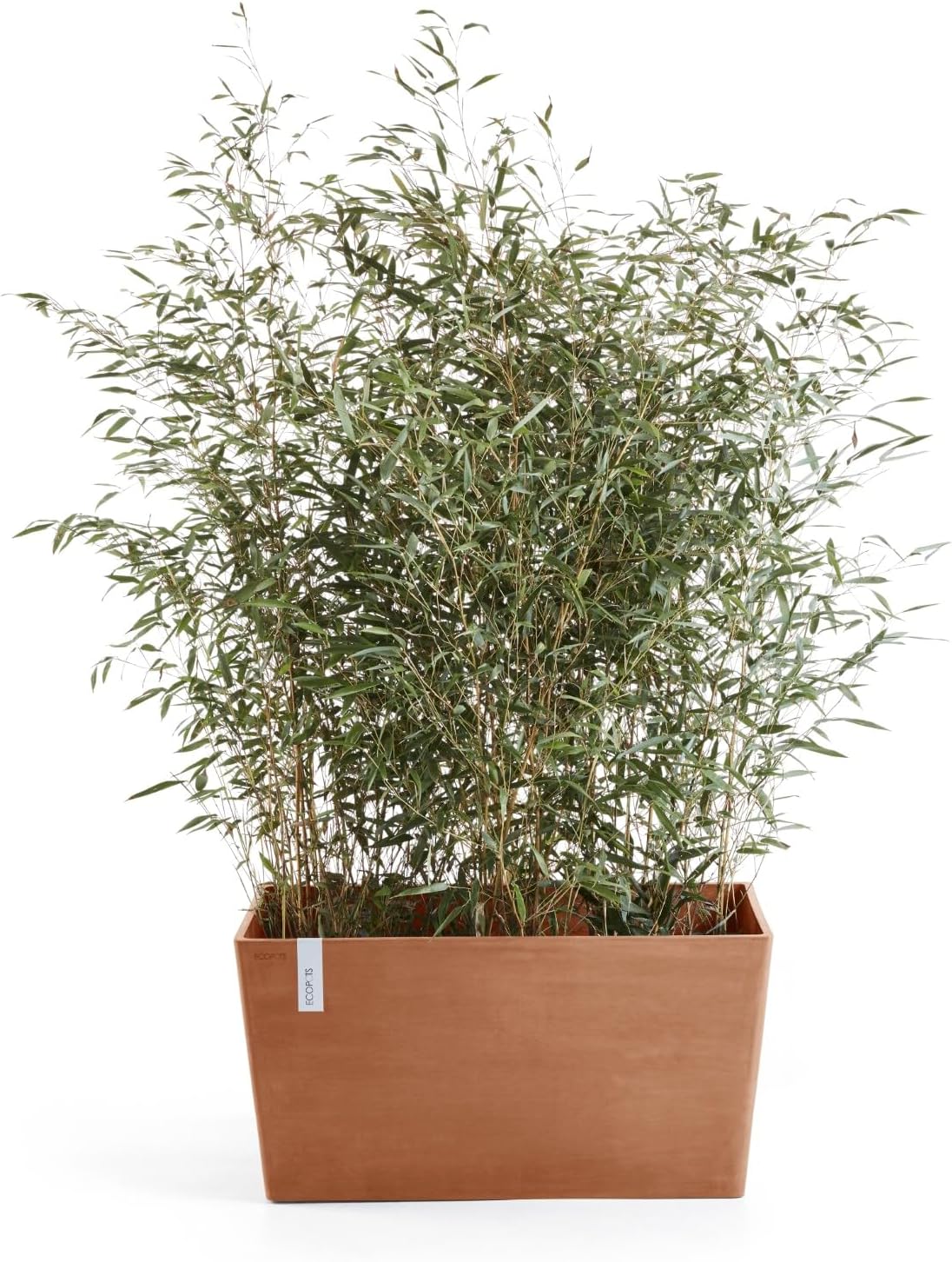 Ecopots Paris Large Rectangle Planter - 31.5 in x 15 in x 15.7 in - Terracotta