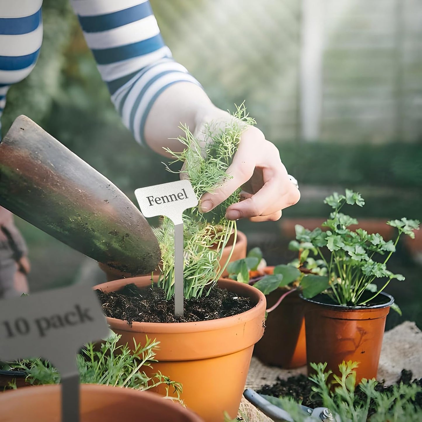 Stainless Steel Plant Labels, Metal Waterproof Plant Markers,Height 12.75 in, Label Area 2.5 in*1.25 in resuable Nursery Tags for Vegetables herb Flower Seed Green House- 20-Pack