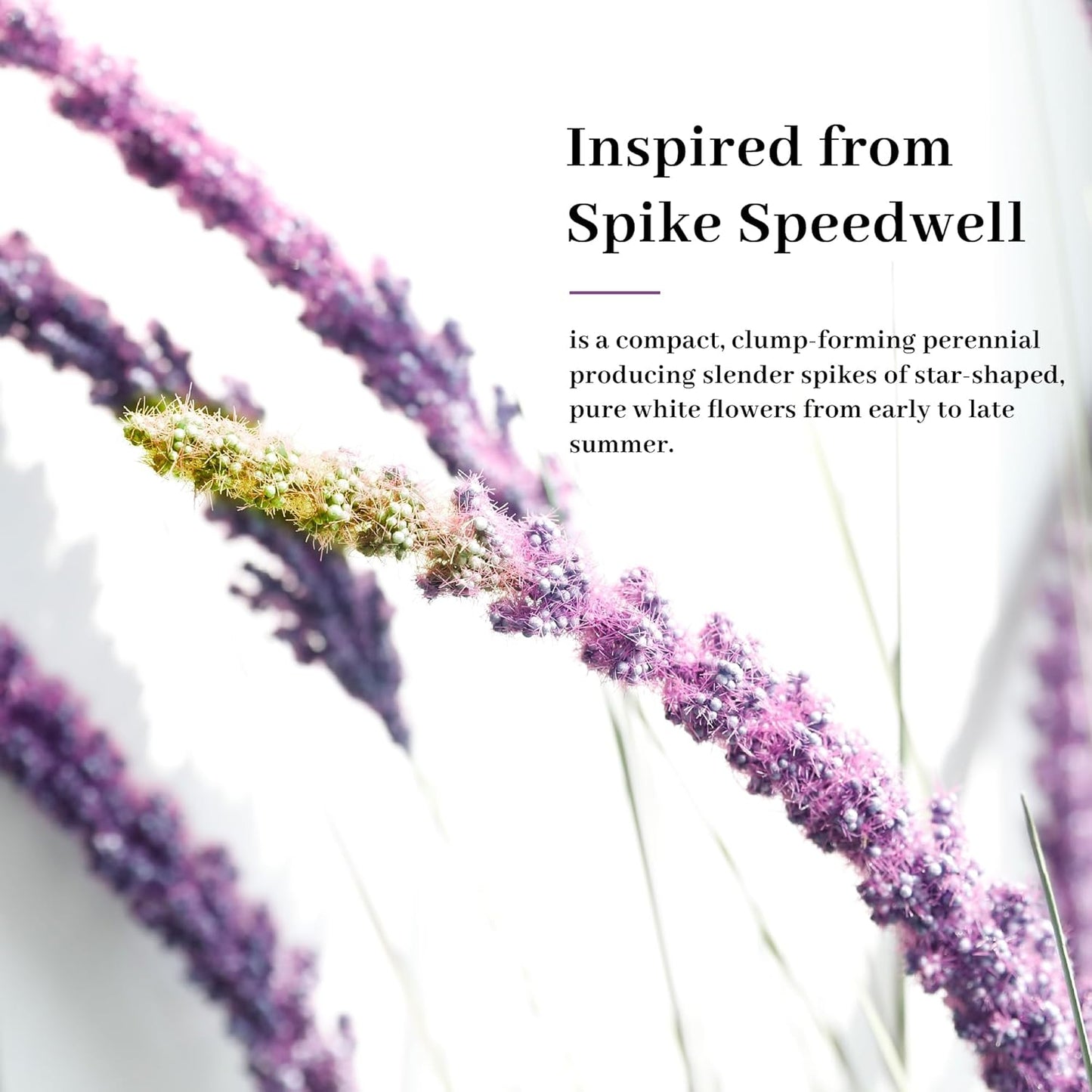 KOL 4ft Artificial Veronica Spiked Speedwell Grass, 47in Faux Veronica Spicata Flower, Tall Fake Reed Grass for Home Office Garden Wedding Decor, Indoor Outdoor Fake Plant, UV-Resistant, Purple