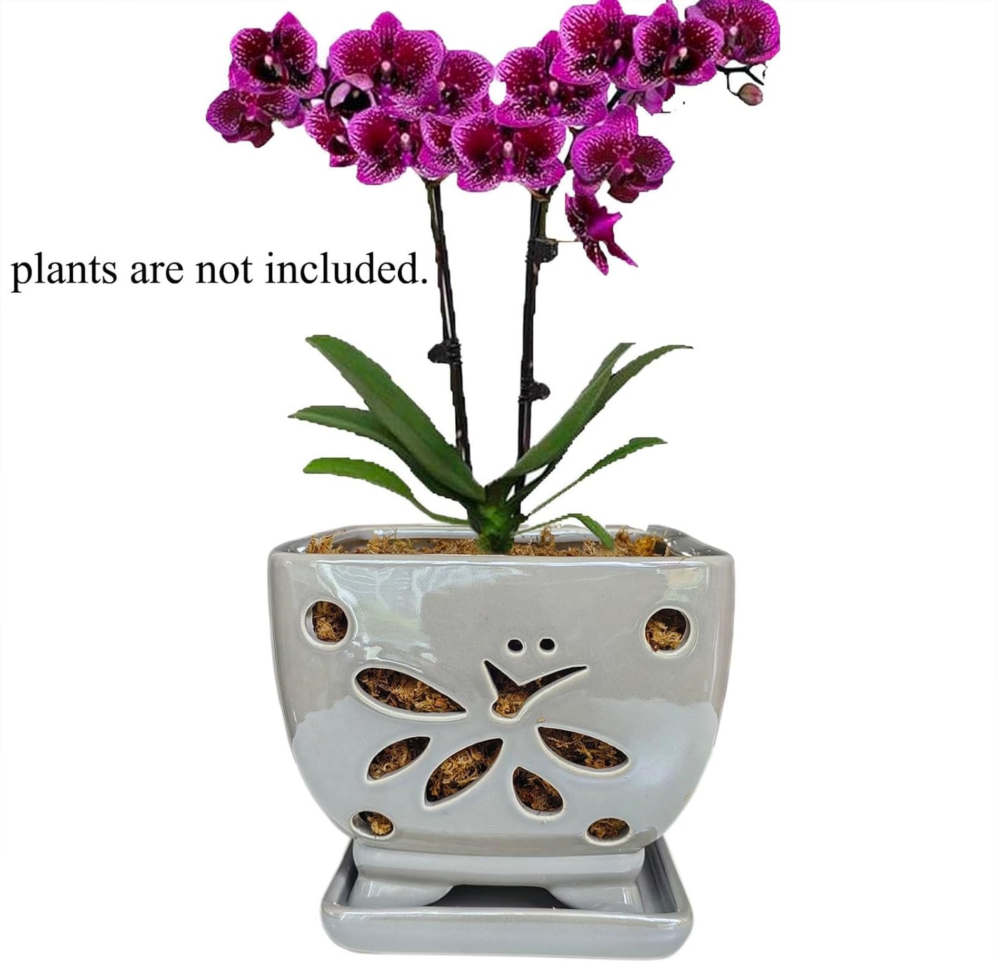 Orchid Pots with Holes Square Ceramic Orchid Planter Pots 5.5 inch (Gray)