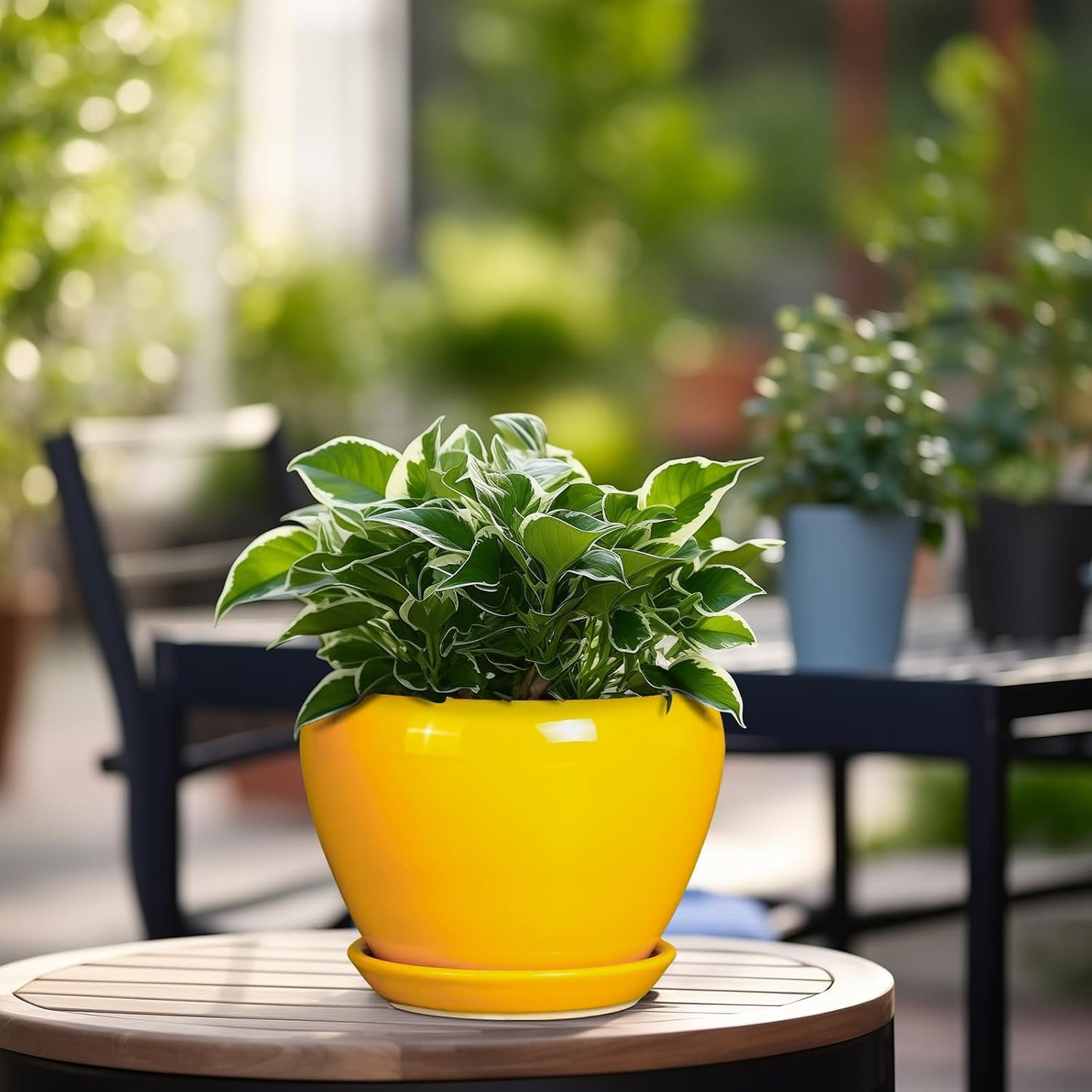 Ceramic Pot for Plants - 6 Inch Plant Pot Glaze Modern Decorative Round Planter with Drainage Hole and Saucer for Home Patio Room Office House Decor, Yellow