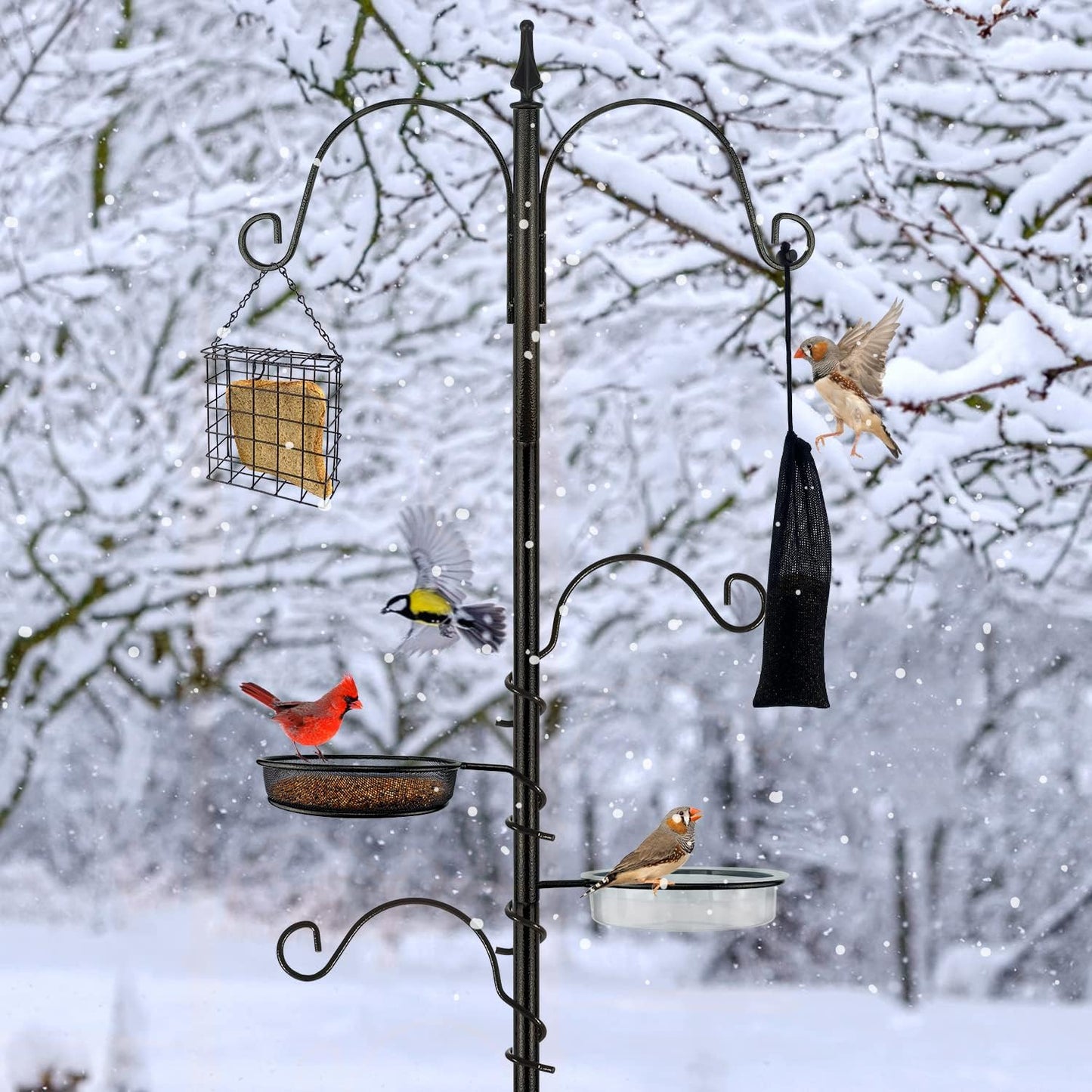 Premium Bird Feeding Station Kit - Multi Feeder Hanging Set with Suet Cage, Bird Bath & Finch Sock Attractors