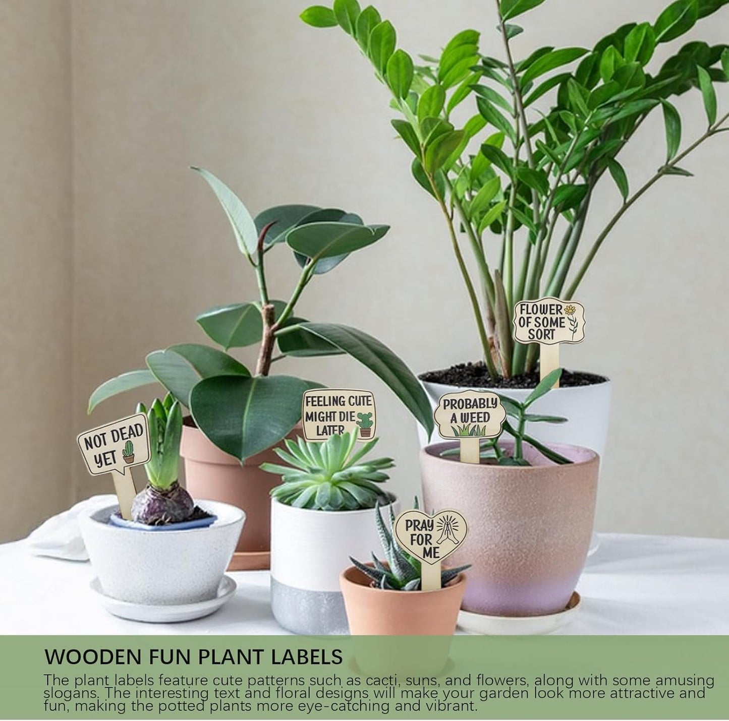 15pcs Funny Plant Signs Garden Markers Wooden Plant Labels Tab with Interesting Words Cute Patterns for Indoor and Outdoor Potted Used to Distinguish Potted Plants