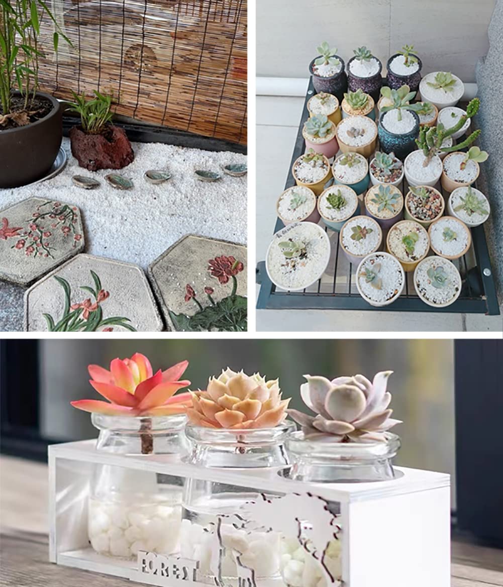 HOT SEAL 6.0 LB White Polished Pebbles 3/8", Natural Decorative Smooth River Rocks, Gravel Size White Small Pebble Stone for Succulent, Bonsai, Potted Plants, Landscaping, Fairy Garden, Aquarium