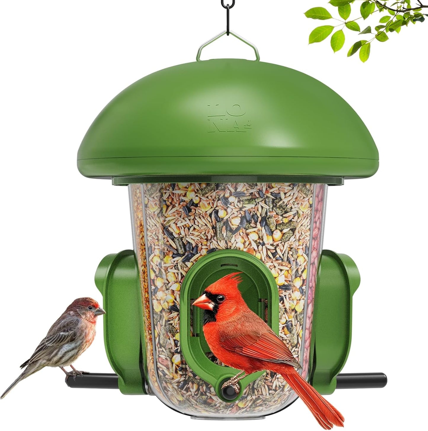 LONA Bird Feeders for Outdoors Hanging – 3 Separate Compartments, 3 Feeding Ports, Weatherproof Dome & 3 Ways to Hang, Large Capacity for Cardinals/Finches (Green