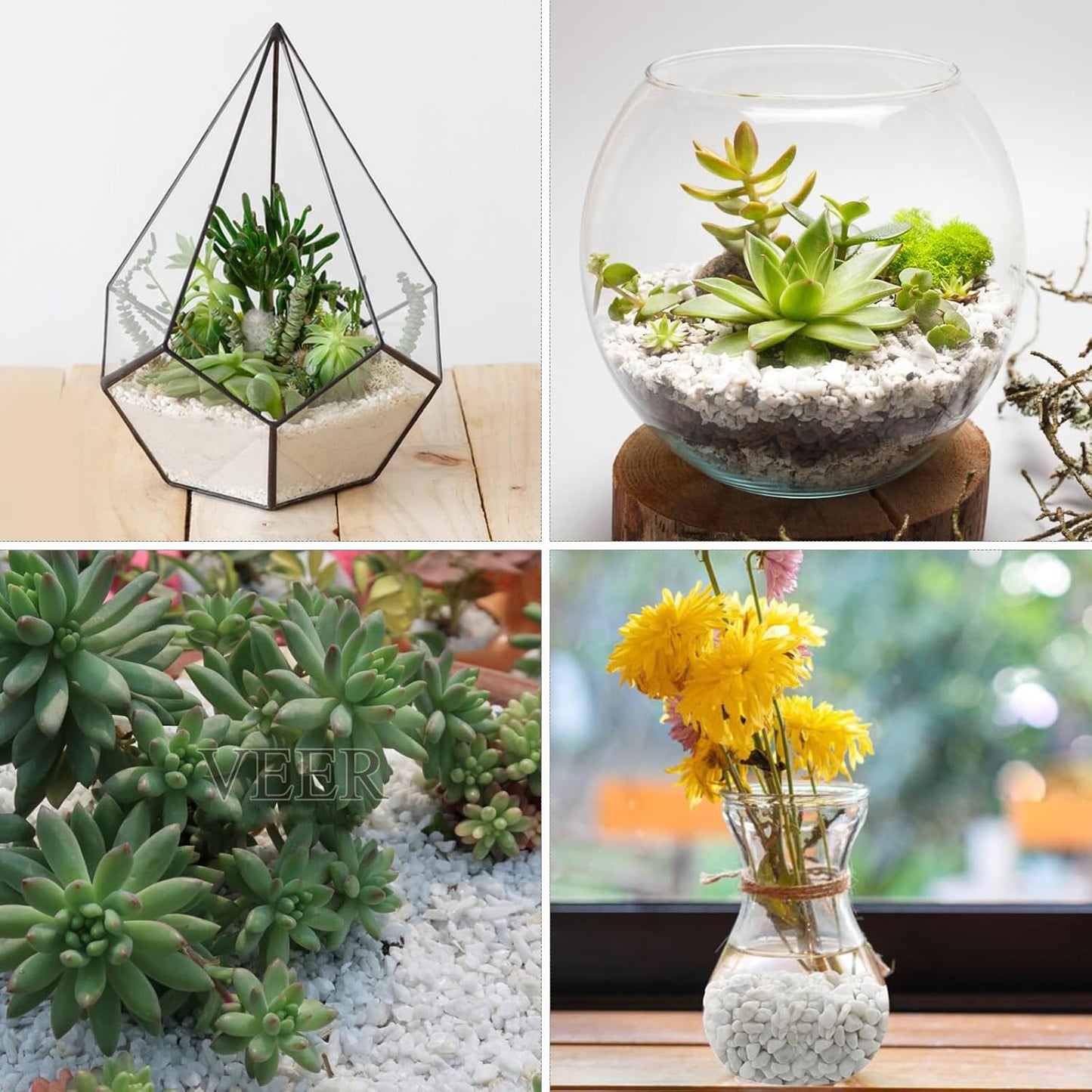 10lbs White Pebbles for Landscaping, 3/8inch Small Rocks for Succulent Cactus Planters, Natural Polished Pebbles, River Rocks for Plants, Vases, Garden