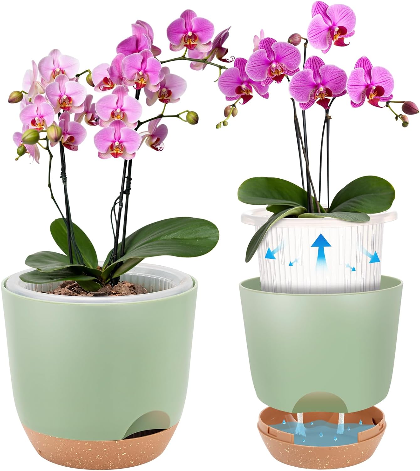 Self Watering Orchid Pots for Indoor Plants,5.8 Inch Macetas para Orqudeas,Flower Pots for Indoor Plants with Holes(Green)