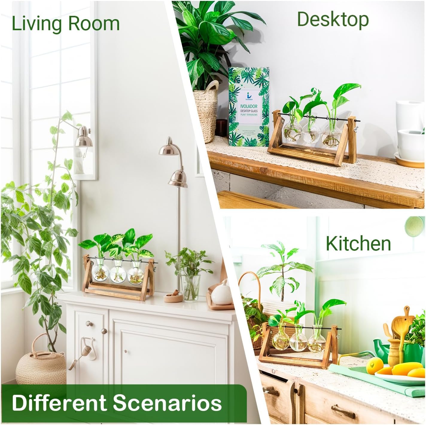 Ivolador Plant Propagation Station,Bulb Plant Terrarium with Wooden Stand,Unique Gardening Gifts for Women Plant Lovers,Hydroponic Indoor Planter Home Office Garden Wedding Decor-3 Bulb Glass Vases