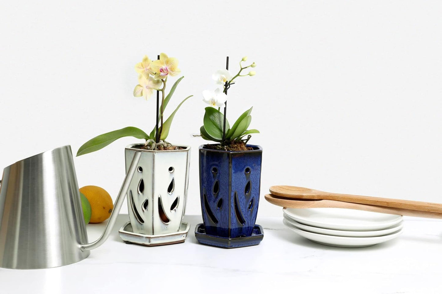 rePotme 4 x 6 inch Ceramic Orchid Pot (Cream Over Cotton Candy) - Hexagon Orchid Pot with Holes