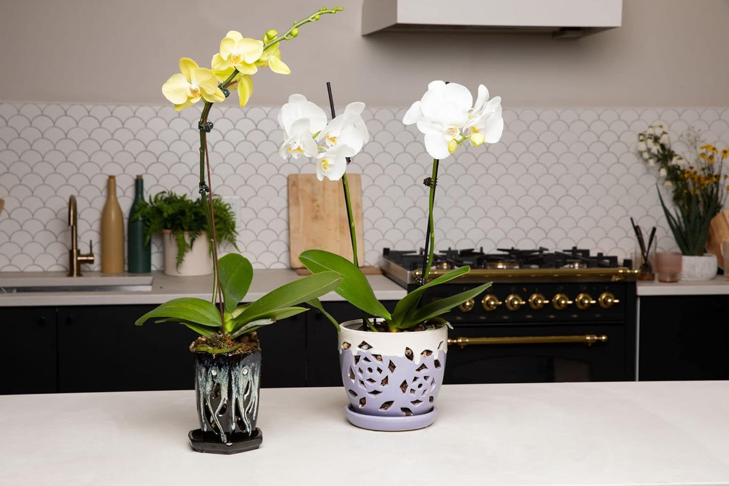 rePotme 4 x 6 inch Ceramic Orchid Pot (Honey Cream Over Coffee) - Hexagon Orchid Pot with Holes