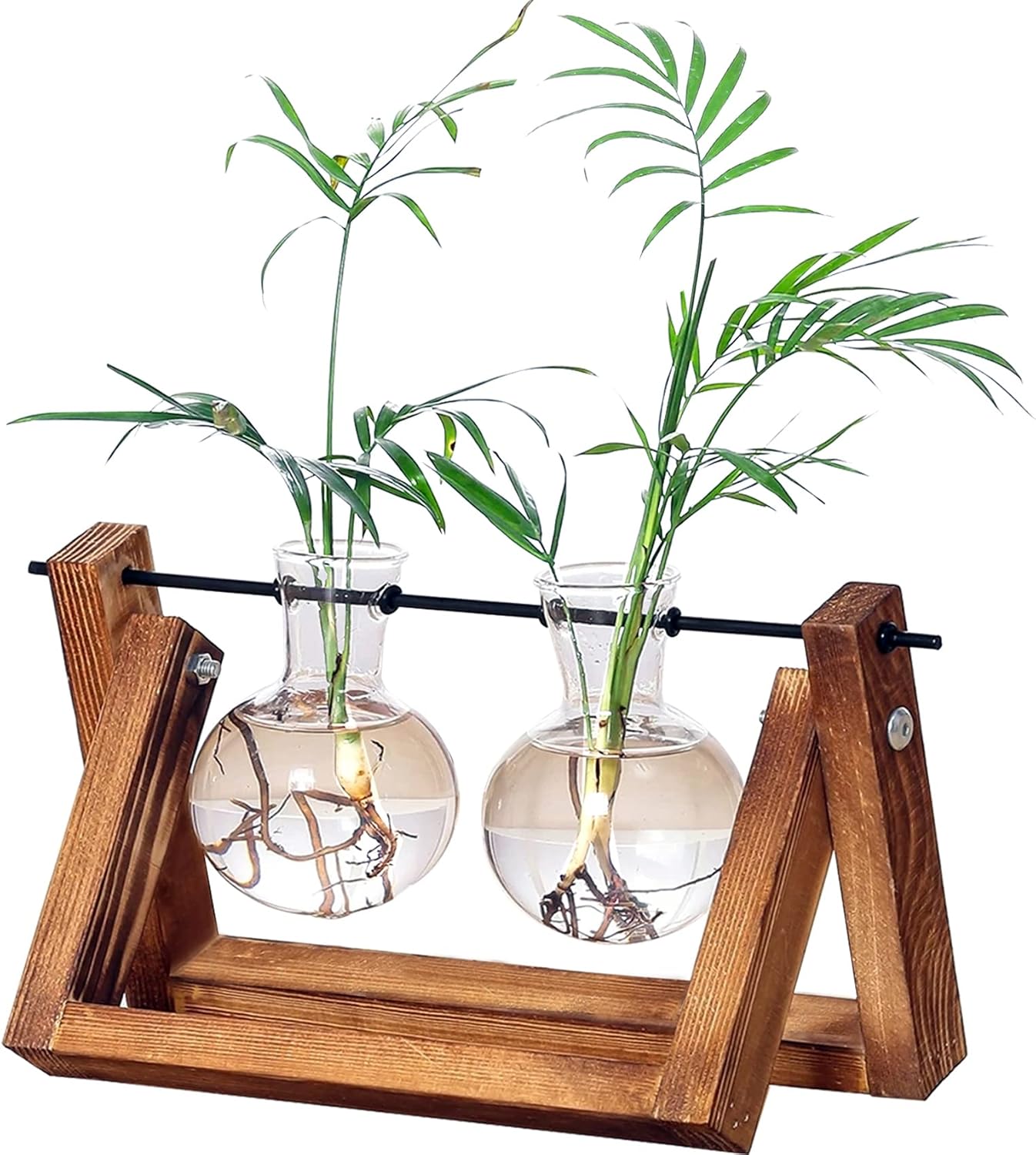 Kingbuy Glass Desktop Planter with Retro Wooden Stand and Plant Terrarium vase (2 Bulbs) for Indoor Office Desk Decor Accessories