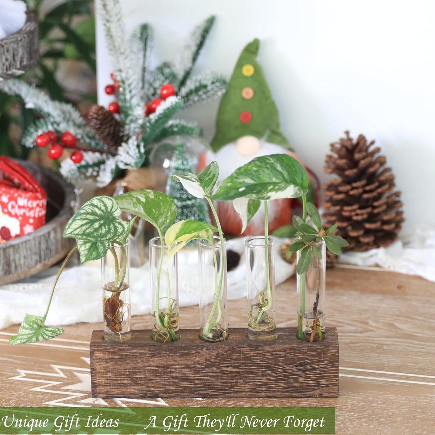 KAXYEW Desktop Glass Plant Propagation Station Test Tube Plant Terrarium in Wooden Stand for Hydroponic Plants Cutting Office Home Decoration Gift for Women (5 Test Tubes-BR)