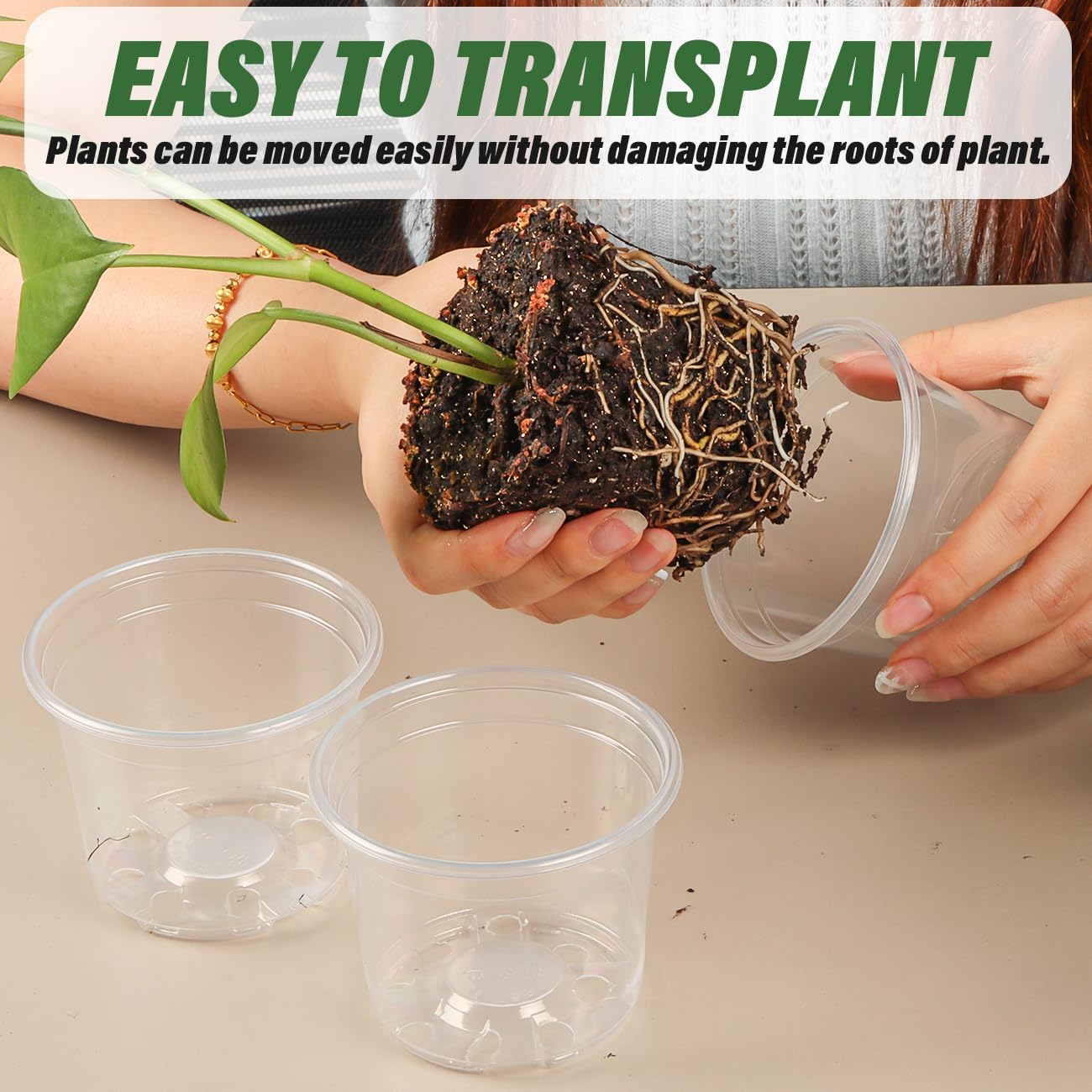 Clear Seedling pots 20 Pack 3.2 Inches Round for Seeds Starter Pots, Seeds Germination Transparent Clean Pots with Drainage Holes(Clear,20 Pcs, 3.14Inch)…