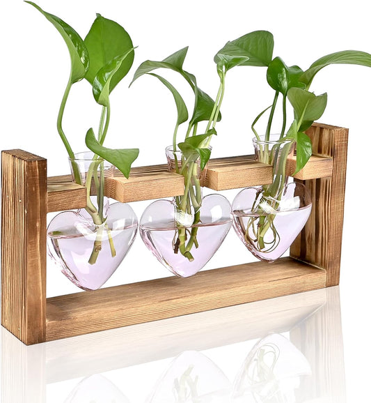 Plant Terrarium Propagation Stations Hydroponics Home Garden Decoration Gift for Women with Wooden Stand Heart Shaped Colored Glass Vase