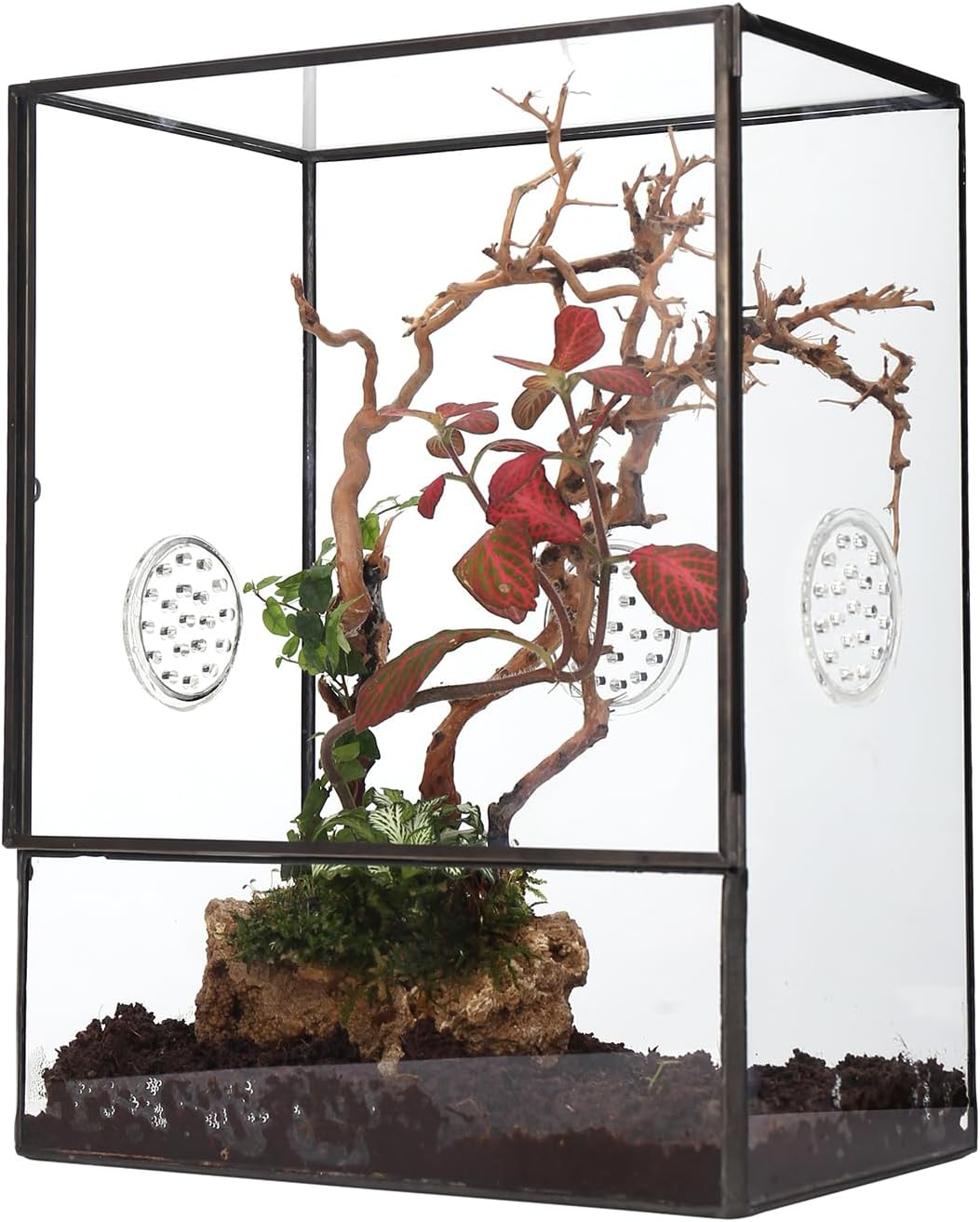 NCYP Glass Terrarium with Front Opening Door and 3 Vents for Insects, Snail, Spider, Glass Enclosure - 8"x4.5"x10" Clear Closed Plant Greenhouse Box (Terrarium Only)