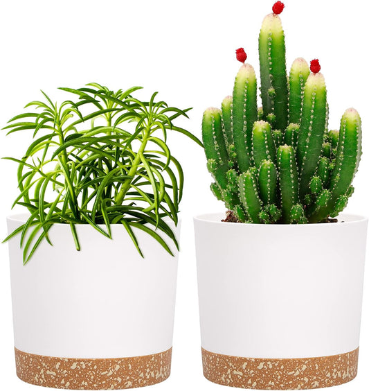 QCQHDU 5 inch Plant Pot, 2 Pack Planters for Indoor Plants with Drainage Holes & Saucer, Outdoor Flower Pots Home Garden Modern Decor