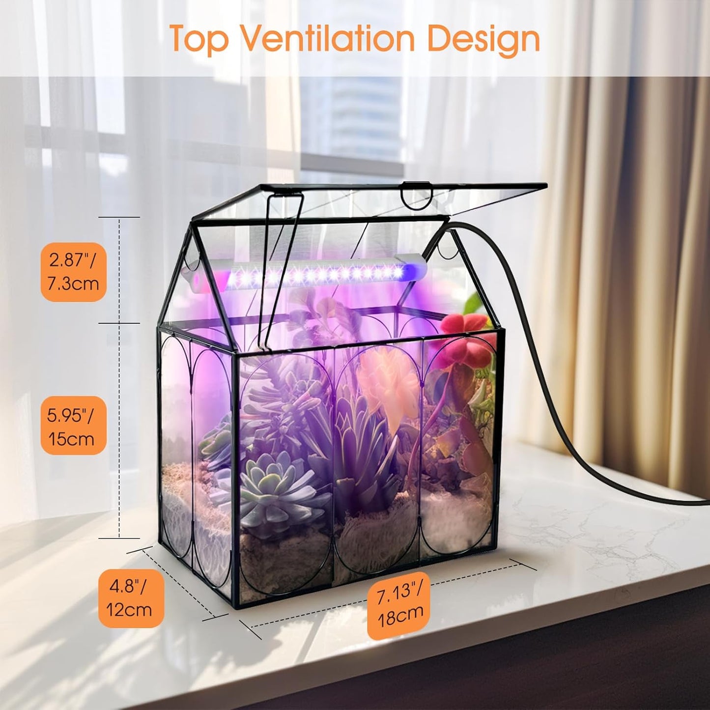 Plant Terrarium Kit with Grow Light, Rifny Small Glass Terrarium Jar with Absorbent Mat and Lid for Venus Fly Trap Succulent Live Air Plants Indoor Home Office Decor (Black, 7.1 x 4.8 x 8.8 inch)