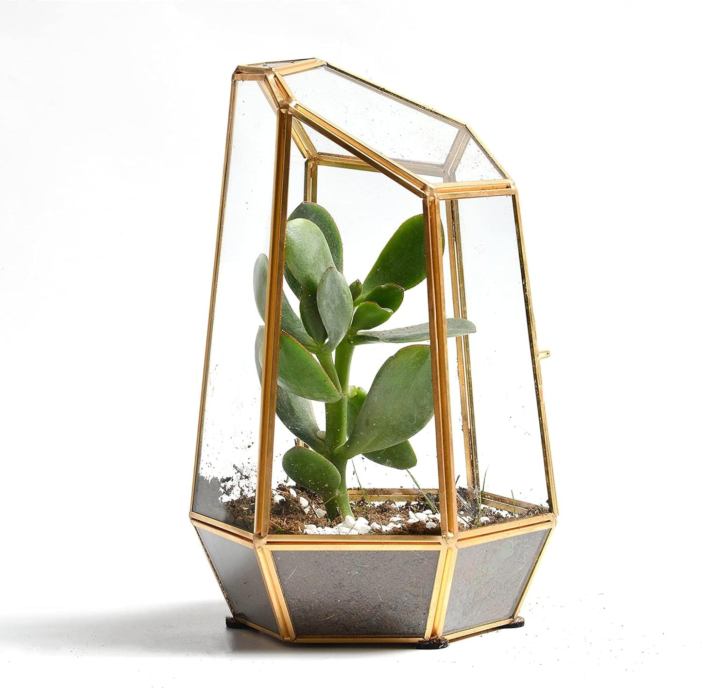 Golden Geometric Glass Terrarium with Door - 9.8" Tall Irregular Clear Planter for Succulents,Ferns,Moss,Cacti | Indoor Fairy Garden,Tabletop Display,Wedding Home Decoration (Plants Not Included)