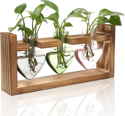 Plant Terrarium Propagation Stations Hydroponics Home Garden Decoration Gift for Women with Wooden Stand Heart Shaped Colored Glass Vase